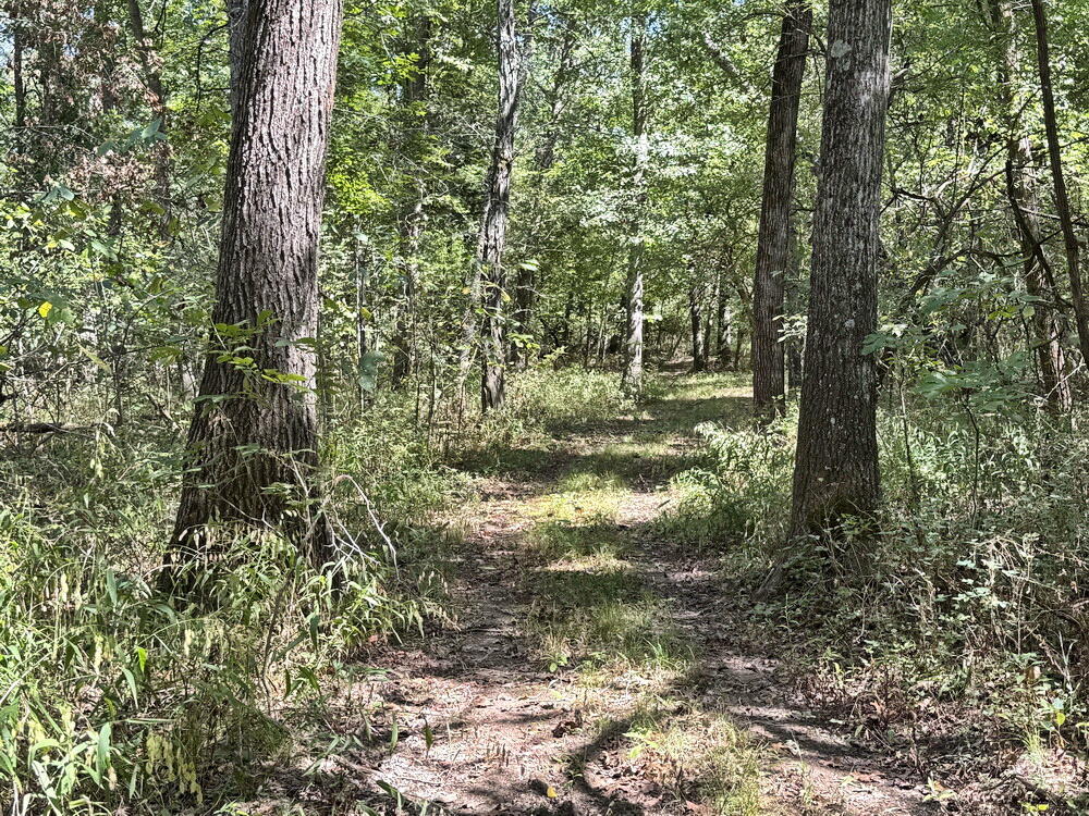 Photo 19 - Land for sale – 14188 S 3025 Road  El Dorado Springs, MO