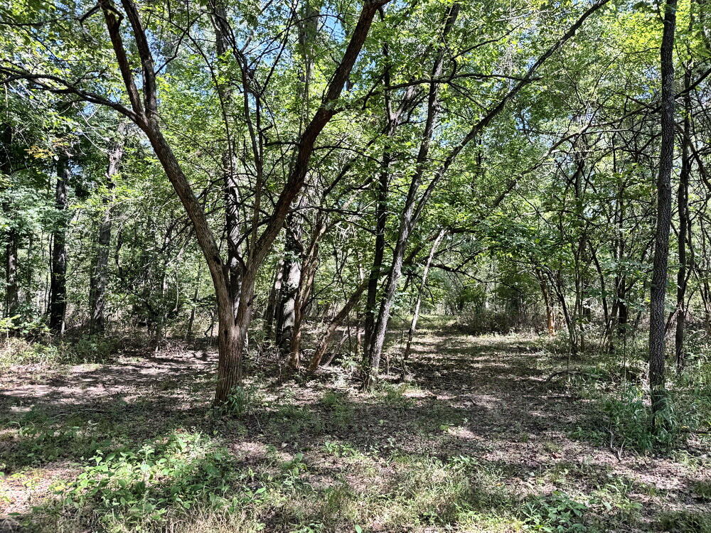 Photo 20 - Land for sale – 14188 S 3025 Road  El Dorado Springs, MO