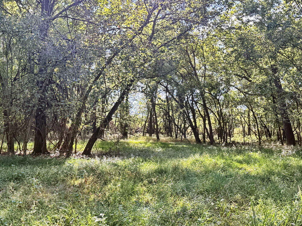 Photo 39 - Land for sale – 14188 S 3025 Road  El Dorado Springs, MO