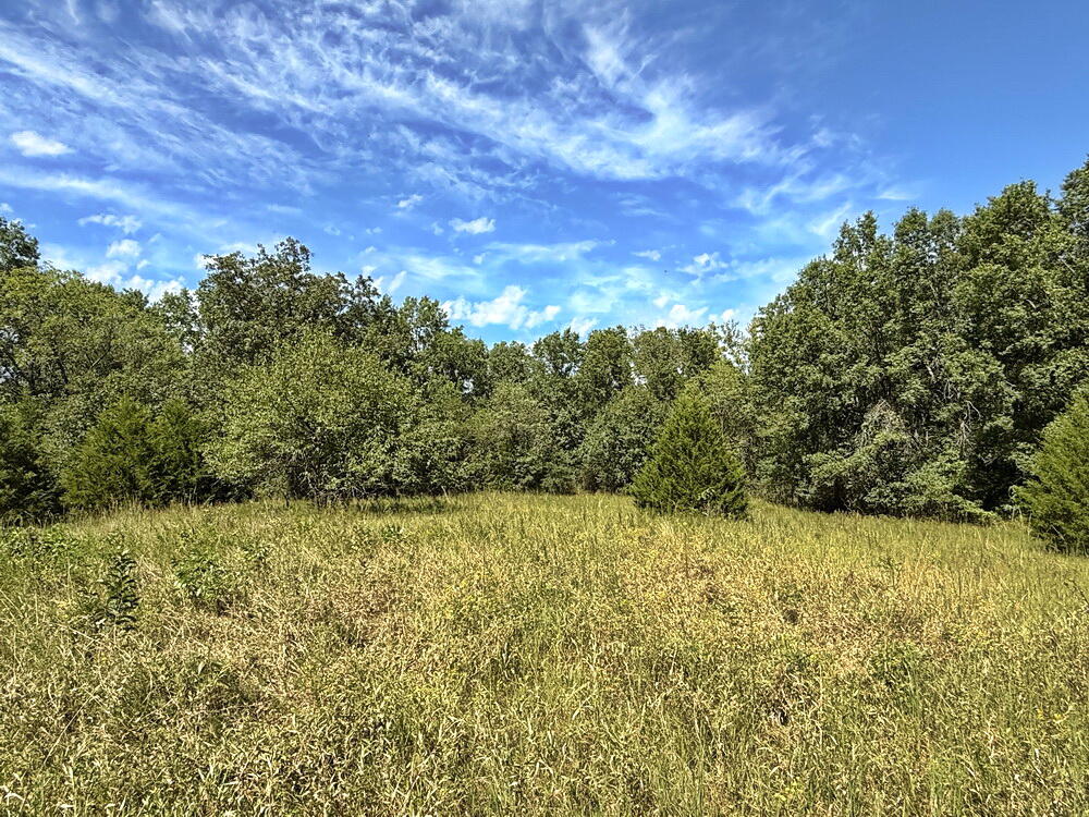 Photo 17 - Land for sale – 14188 S 3025 Road  El Dorado Springs, MO