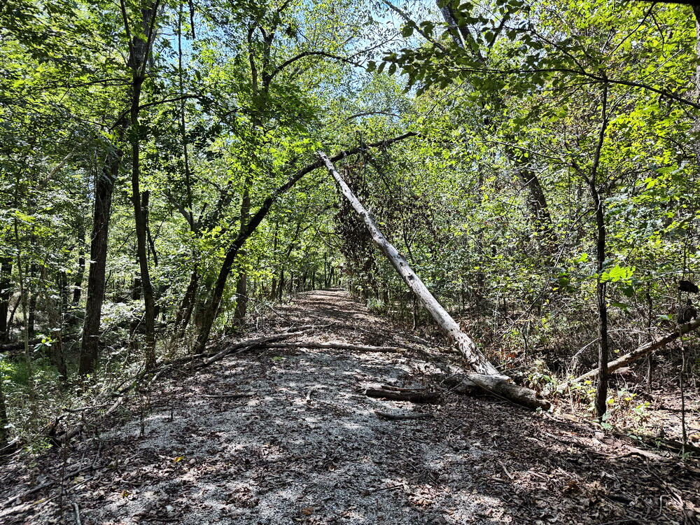 Photo 26 - Land for sale – 14188 S 3025 Road  El Dorado Springs, MO