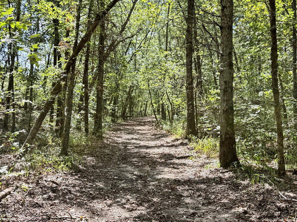 Photo 25 - Land for sale – 14188 S 3025 Road  El Dorado Springs, MO