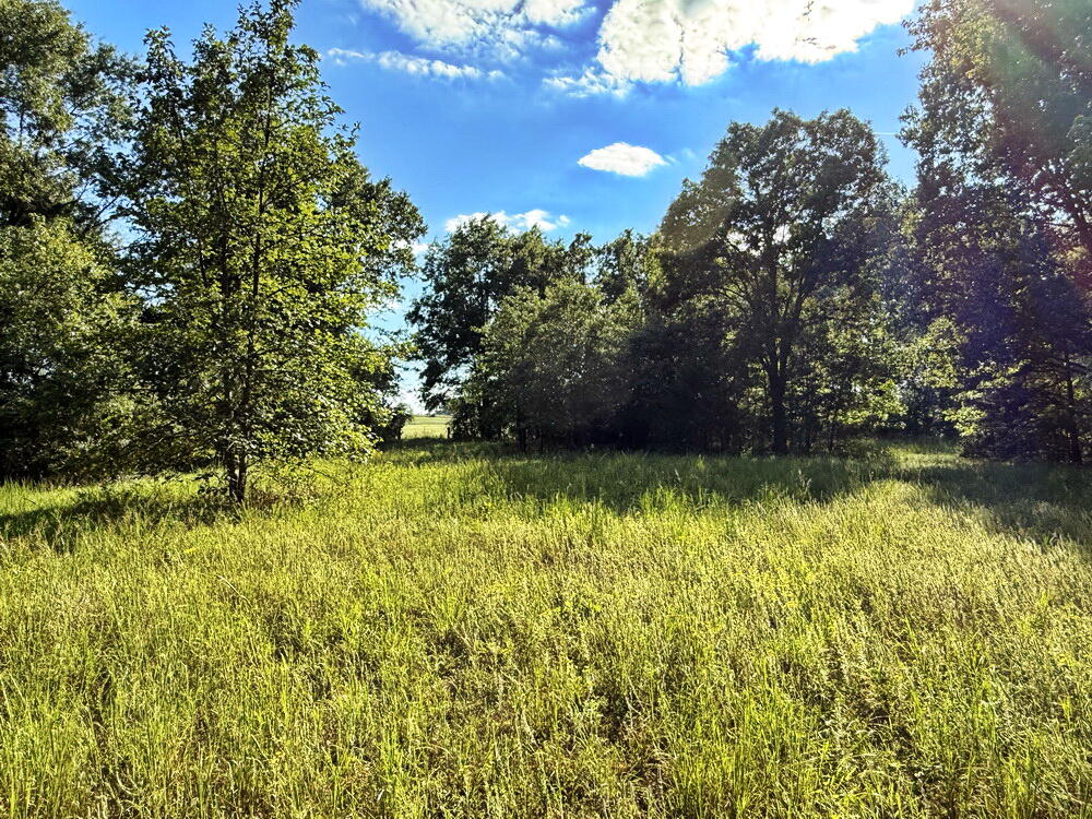 Photo 37 - Land for sale – 14188 S 3025 Road  El Dorado Springs, MO