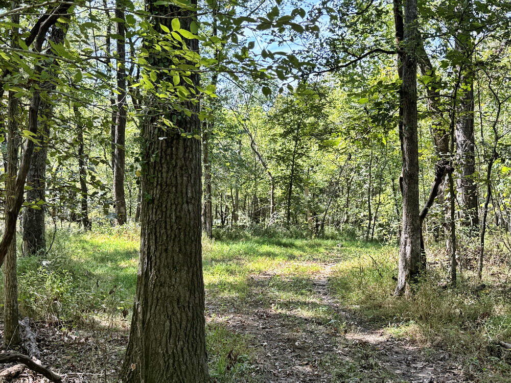 Photo 21 - Land for sale – 14188 S 3025 Road  El Dorado Springs, MO