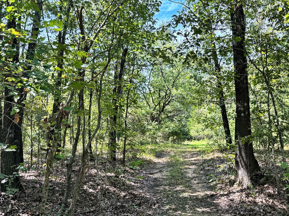 Photo 15 - Land for sale – 14188 S 3025 Road  El Dorado Springs, MO