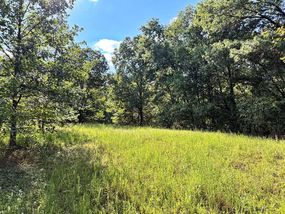 Photo 36 - Land for sale – 14188 S 3025 Road  El Dorado Springs, MO