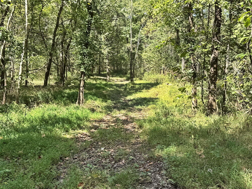 Photo 22 - Land for sale – 14188 S 3025 Road  El Dorado Springs, MO