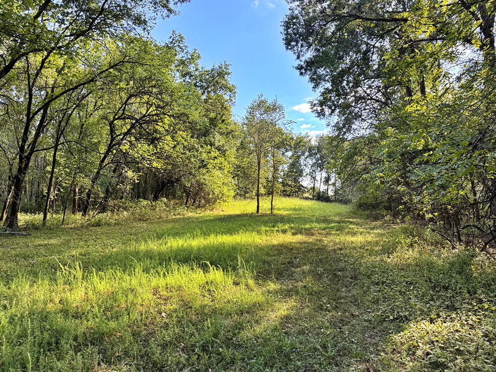 Photo 34 - Land for sale – 14188 S 3025 Road  El Dorado Springs, MO