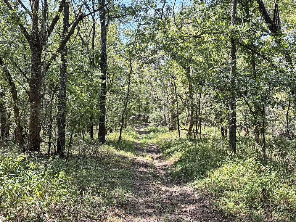 Photo 18 - Land for sale – 14188 S 3025 Road  El Dorado Springs, MO