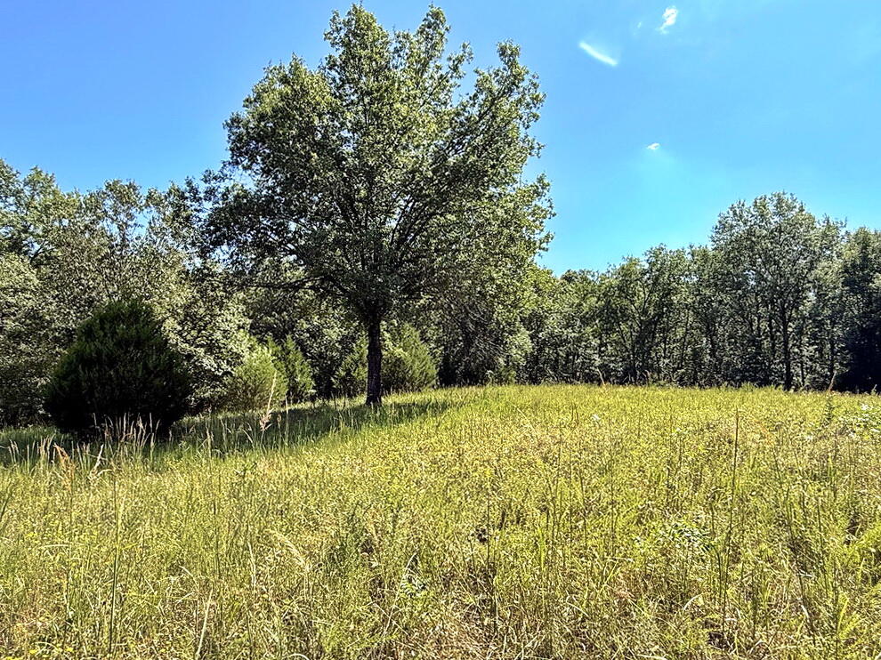 Photo 16 - Land for sale – 14188 S 3025 Road  El Dorado Springs, MO