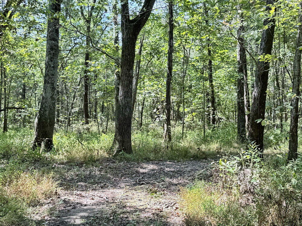 Photo 23 - Land for sale – 14188 S 3025 Road  El Dorado Springs, MO