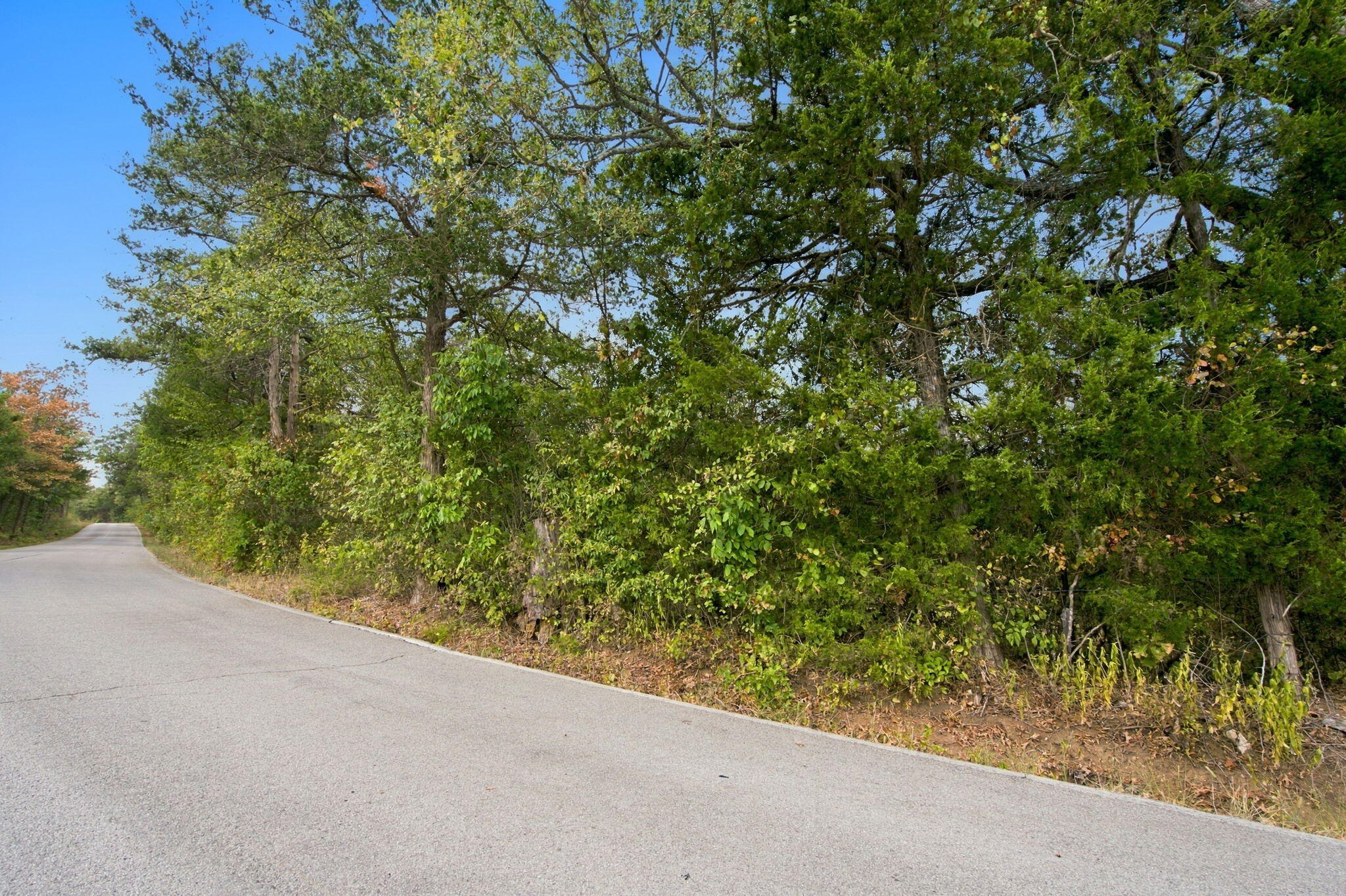 Photo 20 - Land for sale – 000  Nauvoo Road  Lampe, MO