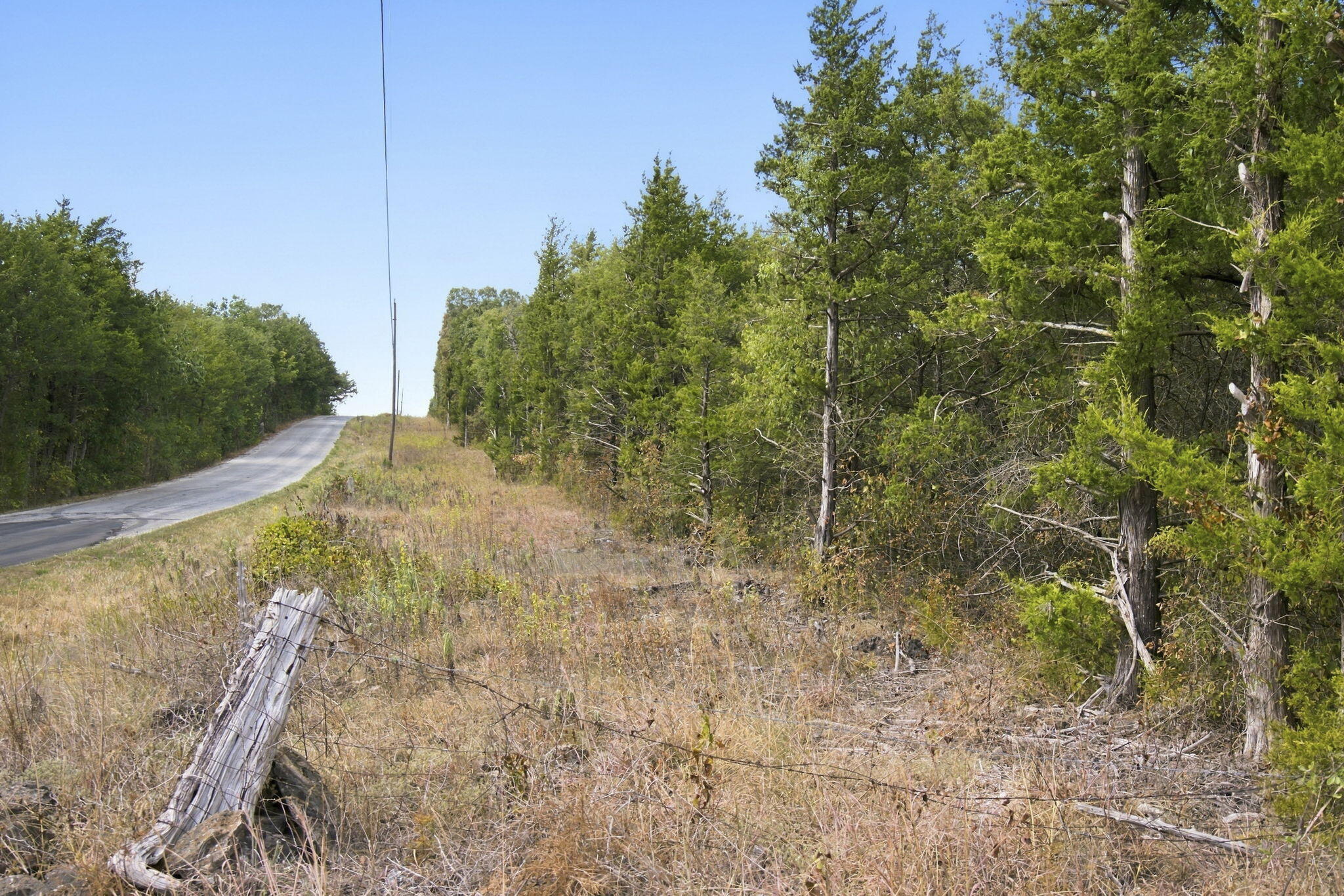 Photo 17 - Land for sale – 000  Nauvoo Road  Lampe, MO