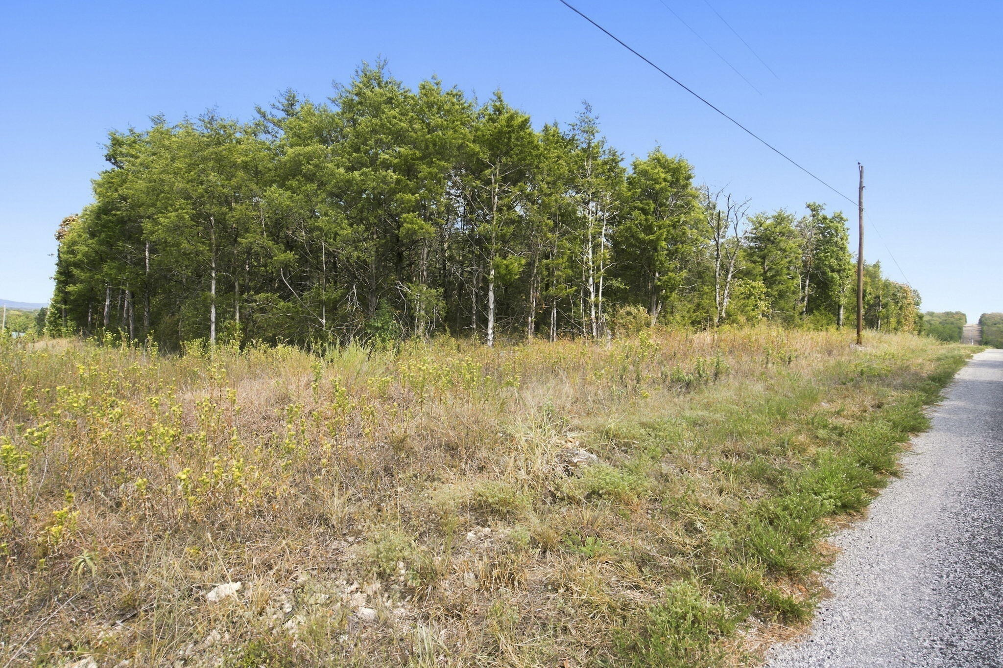 Photo 13 - Land for sale – 000  Nauvoo Road  Lampe, MO