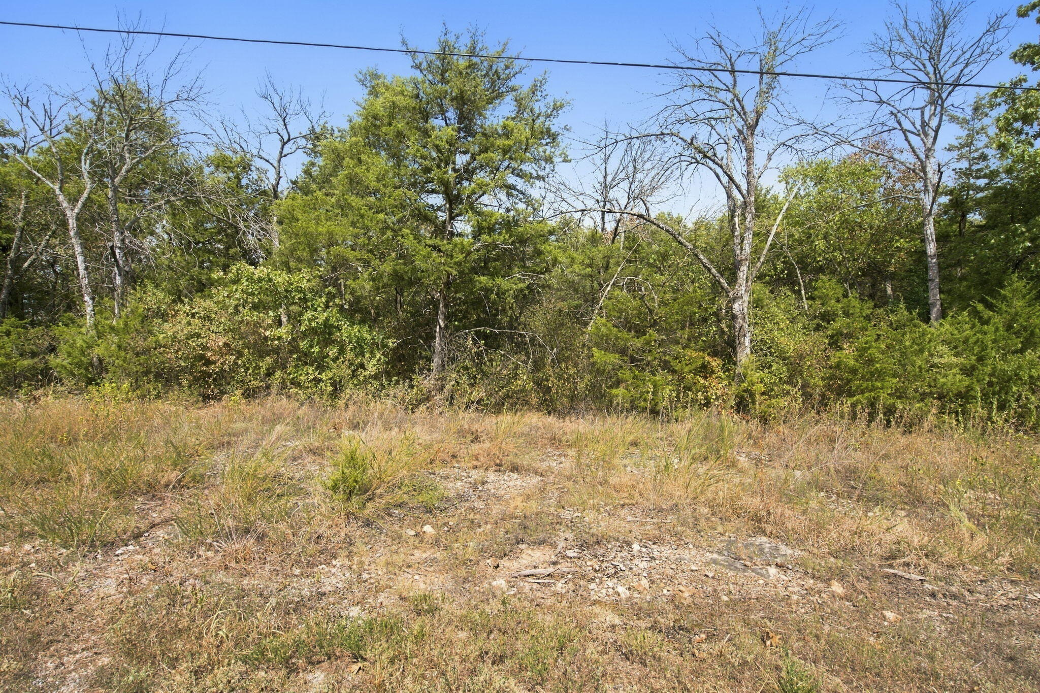 Photo 14 - Land for sale – 000  Nauvoo Road  Lampe, MO