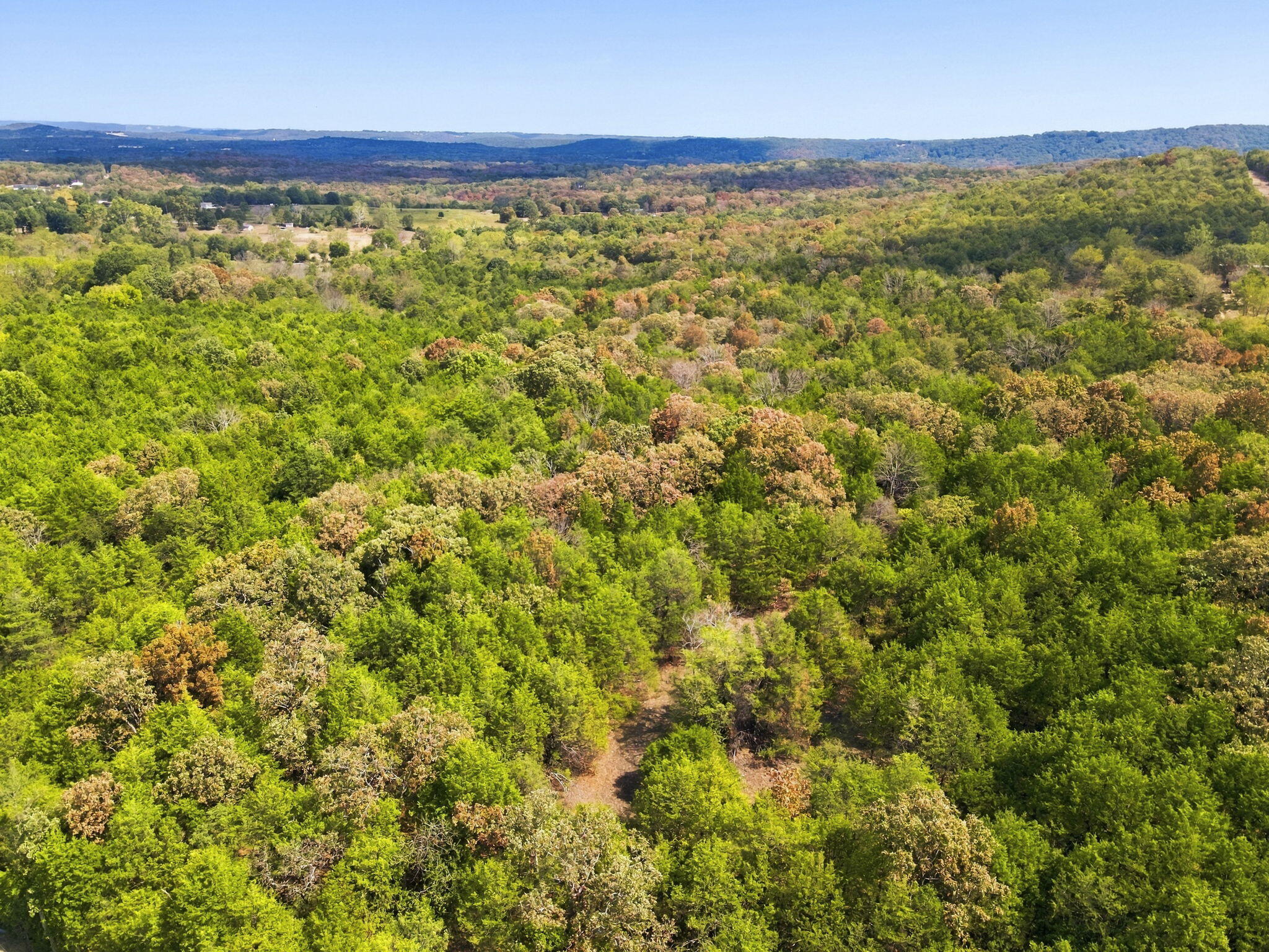 Photo 10 - Land for sale – 000  Nauvoo Road  Lampe, MO