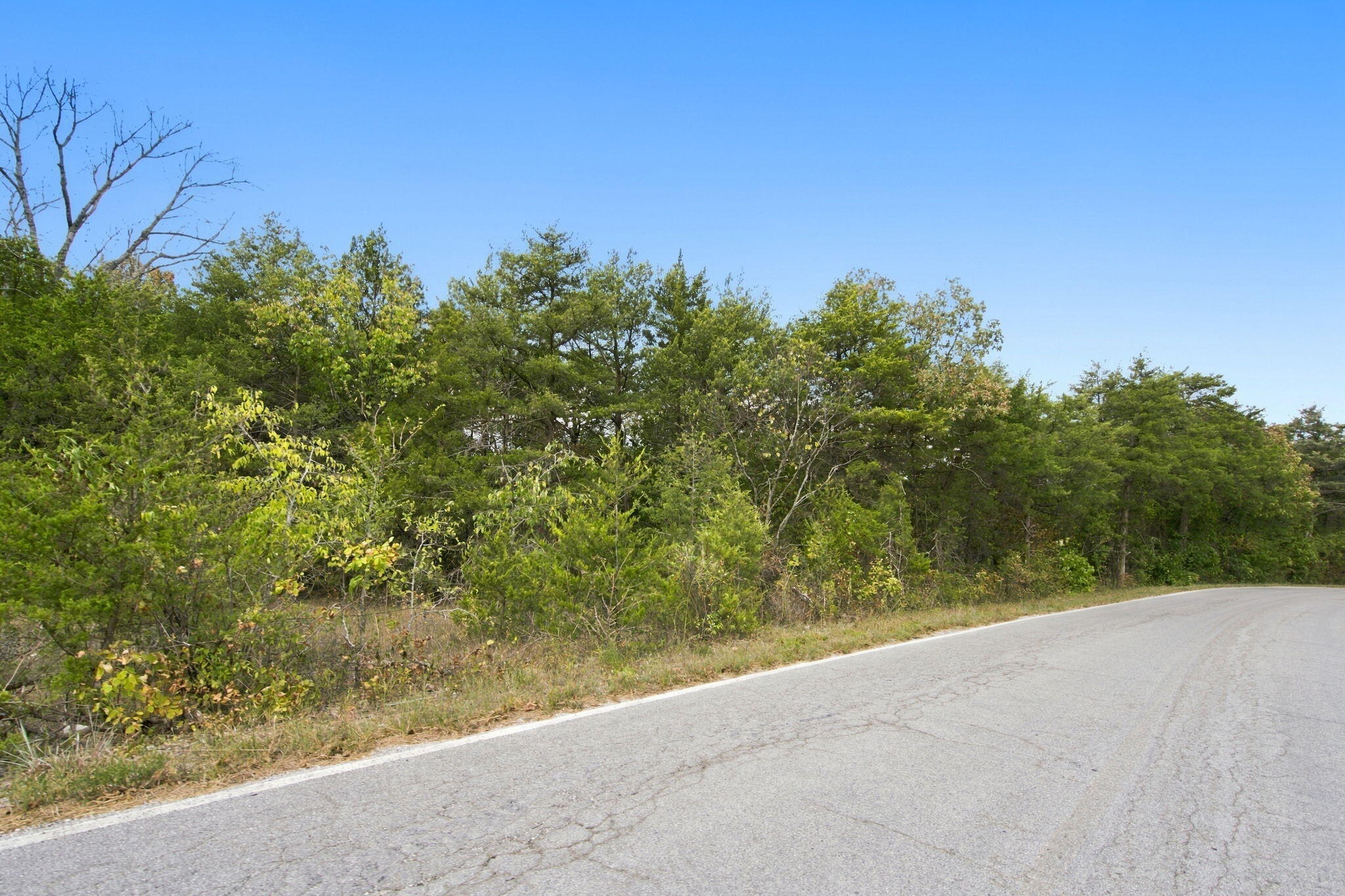 Photo 18 - Land for sale – 000  Nauvoo Road  Lampe, MO