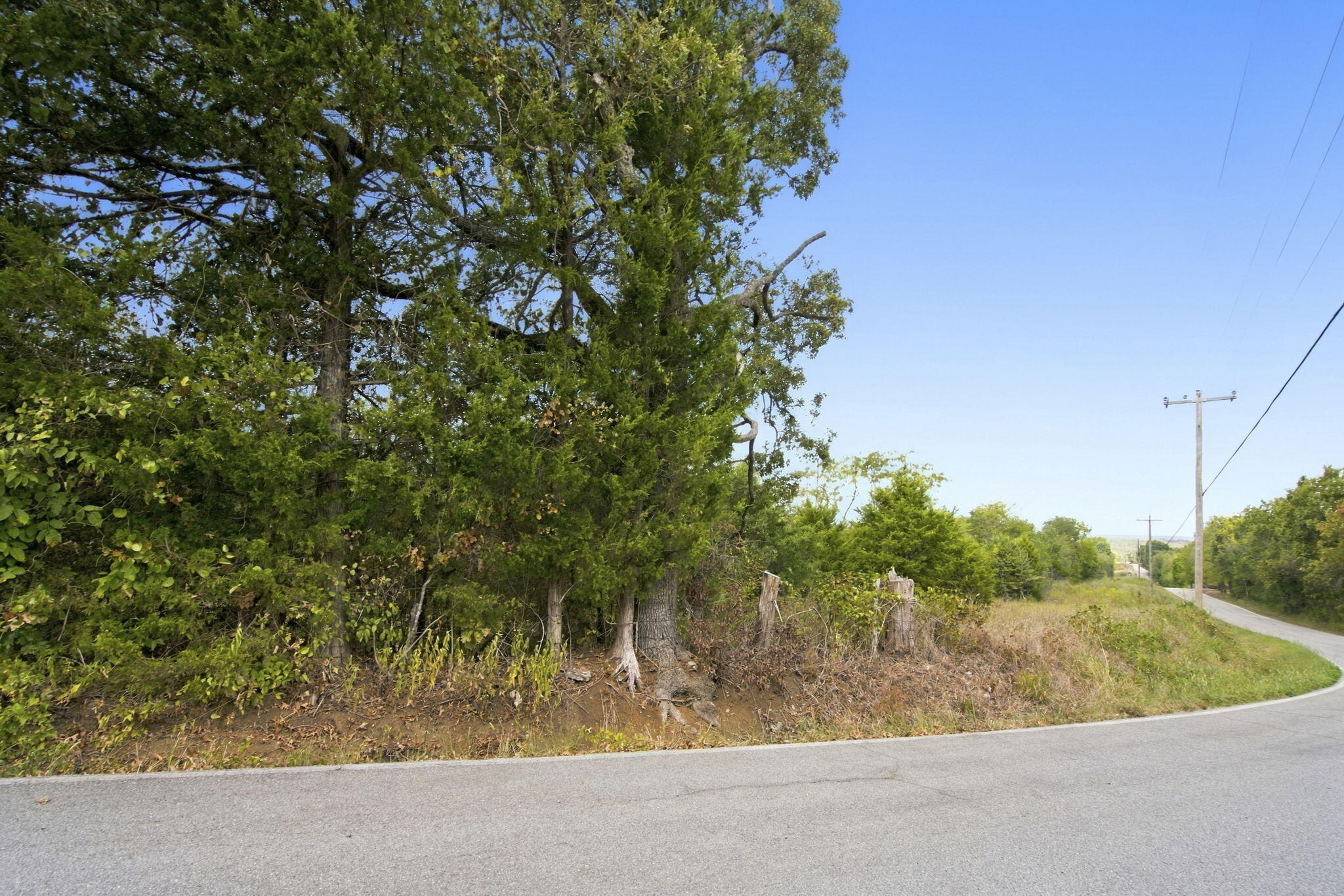 Photo 19 - Land for sale – 000  Nauvoo Road  Lampe, MO