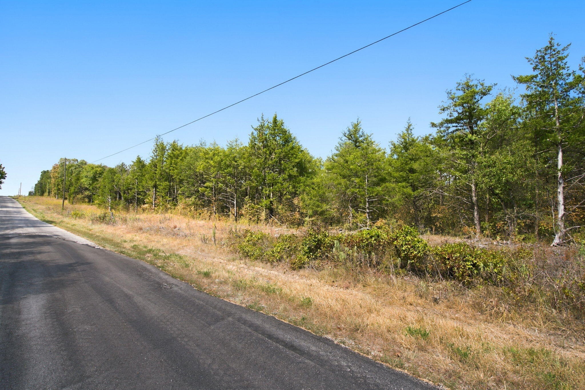 Photo 15 - Land for sale – 000  Nauvoo Road  Lampe, MO