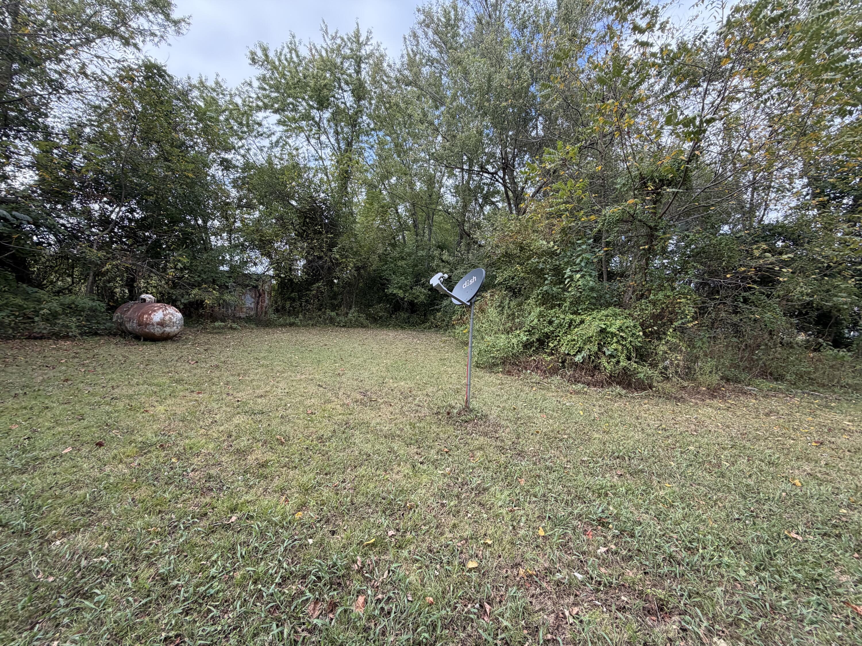 Photo 7 - Land for sale – 510 E James Street  Mountain View, MO