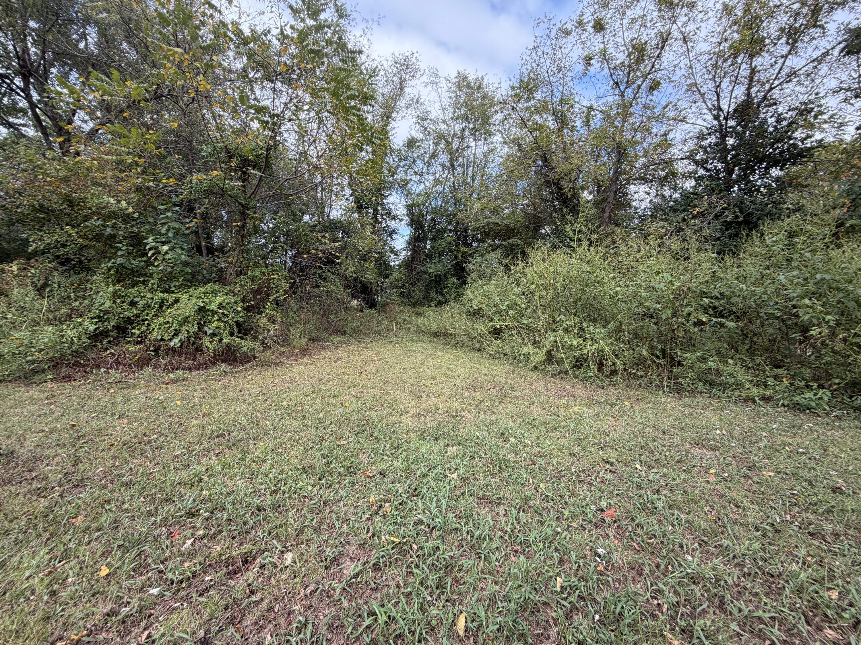 Photo 8 - Land for sale – 510 E James Street  Mountain View, MO