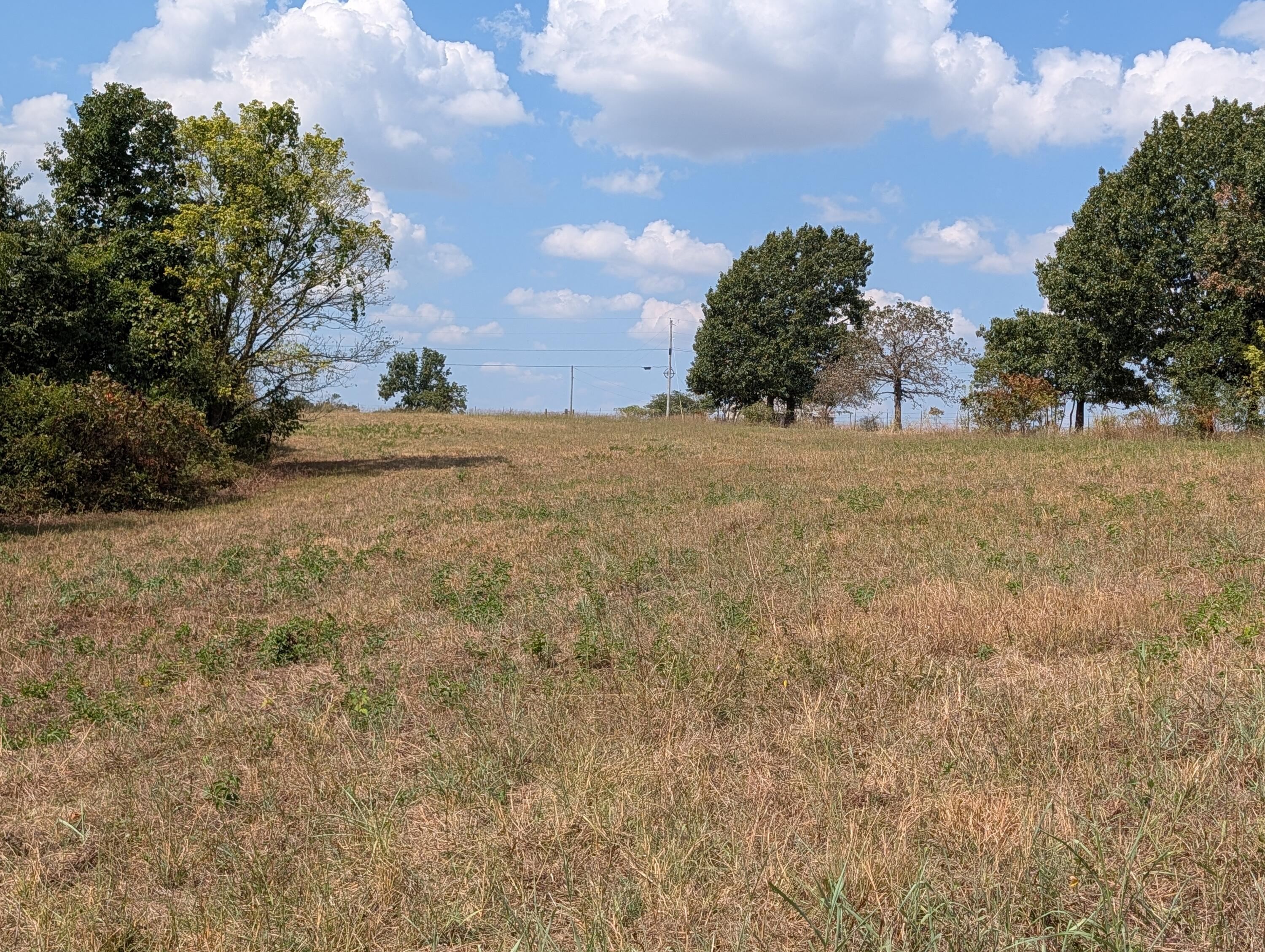 Photo 2 - Farm for sale – 17640  Farm Road 1150   Cassville, MO
