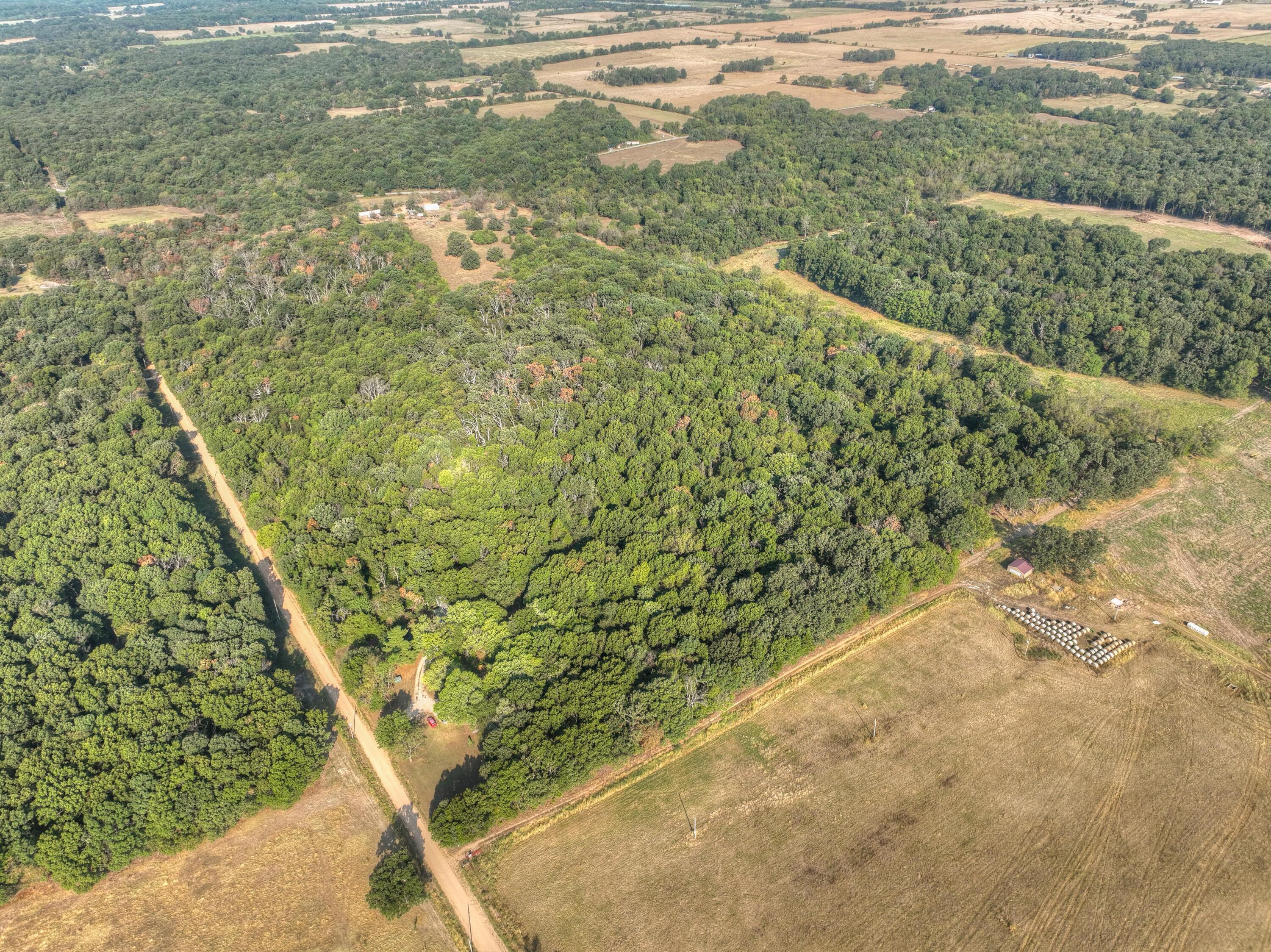 Photo 6 - Land for sale – Tbd  Foliage Road  Pierce City, MO