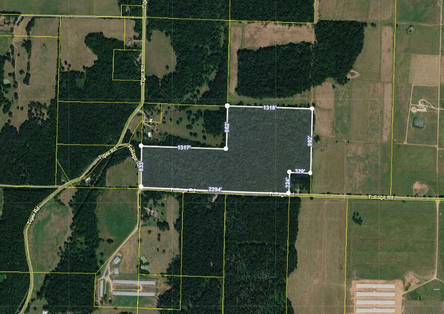 Photo 2 - Land for sale – Tbd  Foliage Road  Pierce City, MO