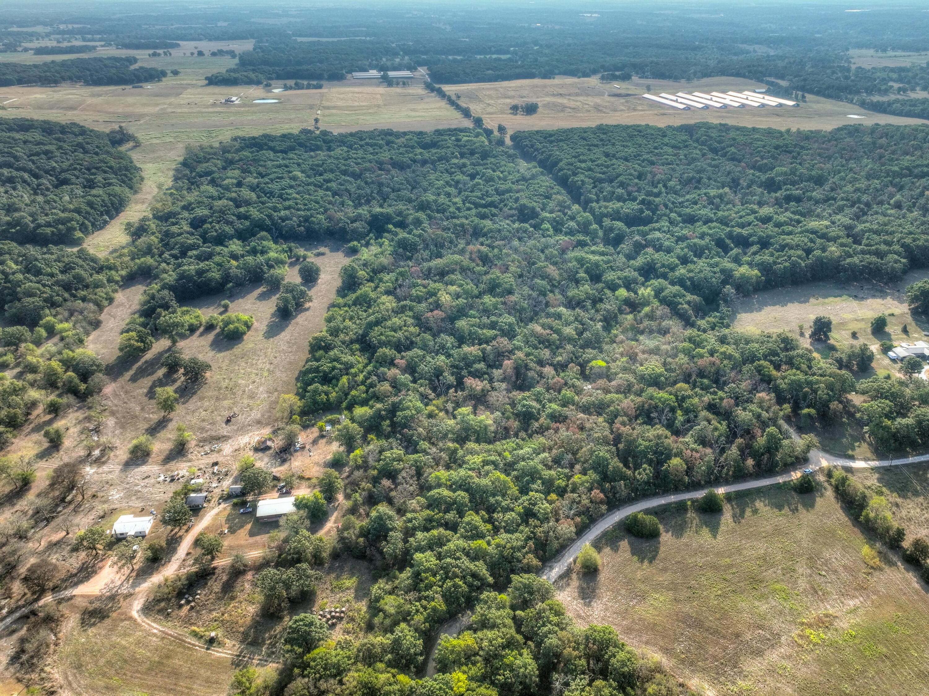 Photo 5 - Land for sale – Tbd  Foliage Road  Pierce City, MO