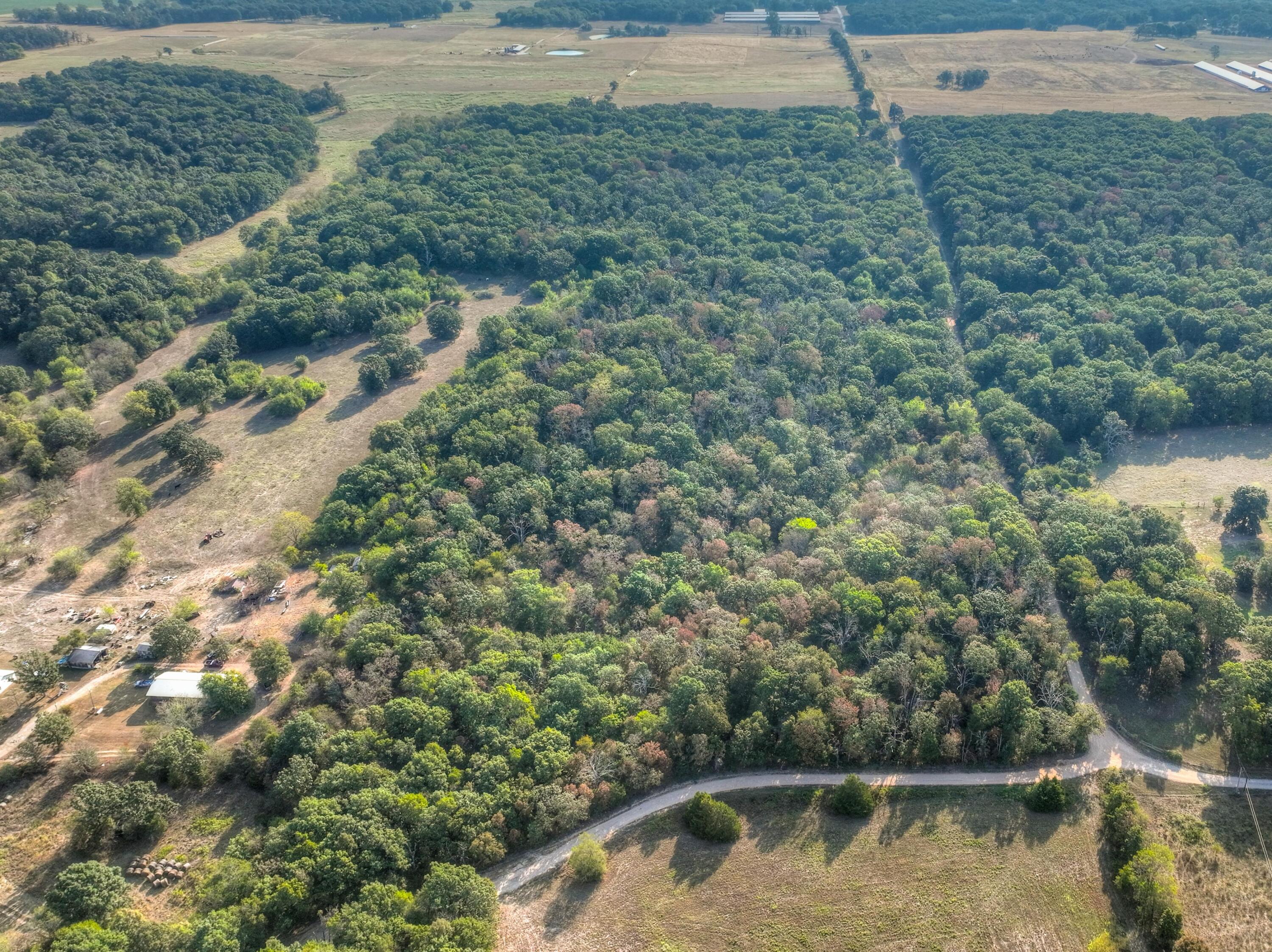 Photo 3 - Land for sale – Tbd  Foliage Road  Pierce City, MO