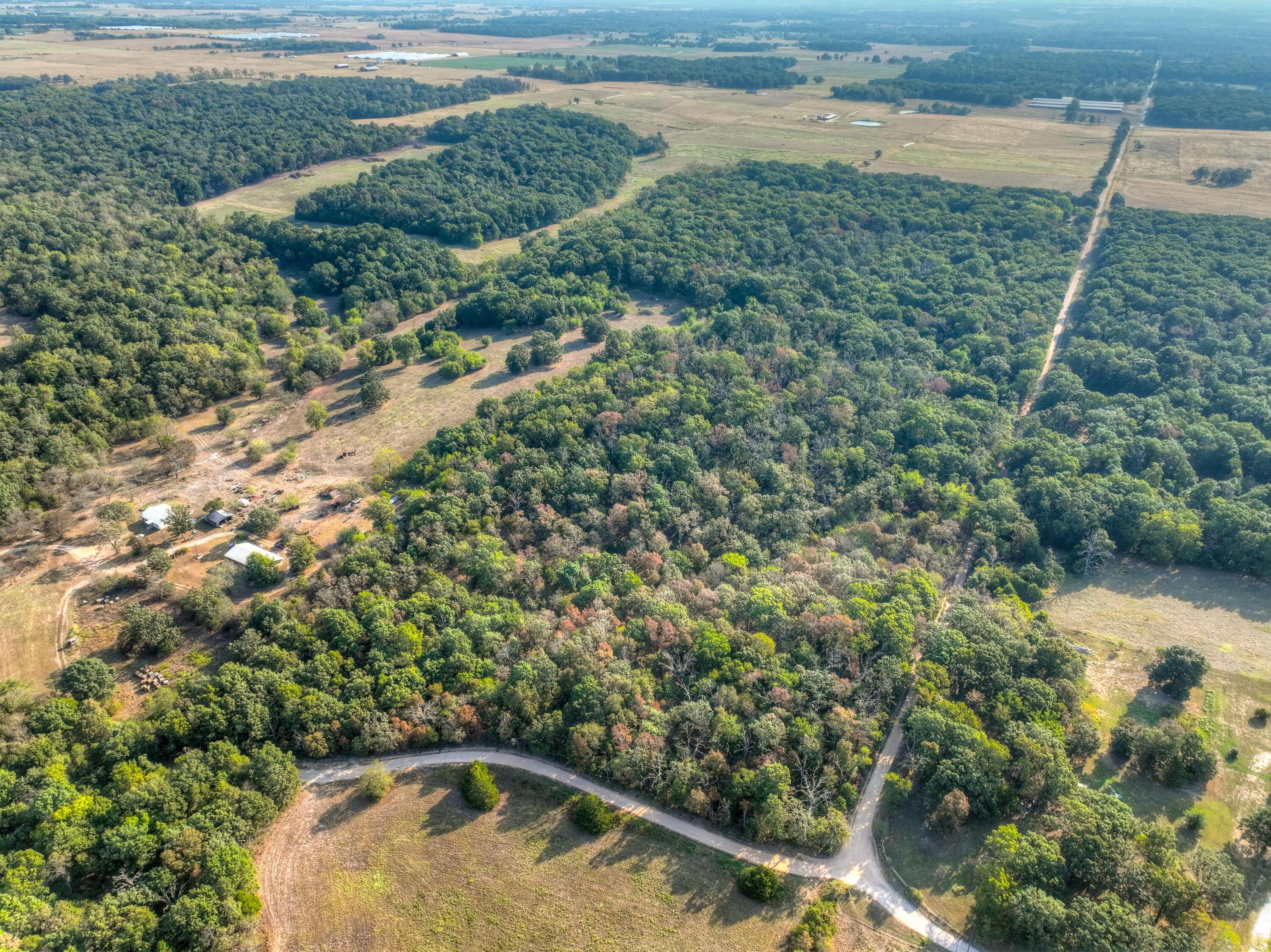 Photo 4 - Land for sale – Tbd  Foliage Road  Pierce City, MO