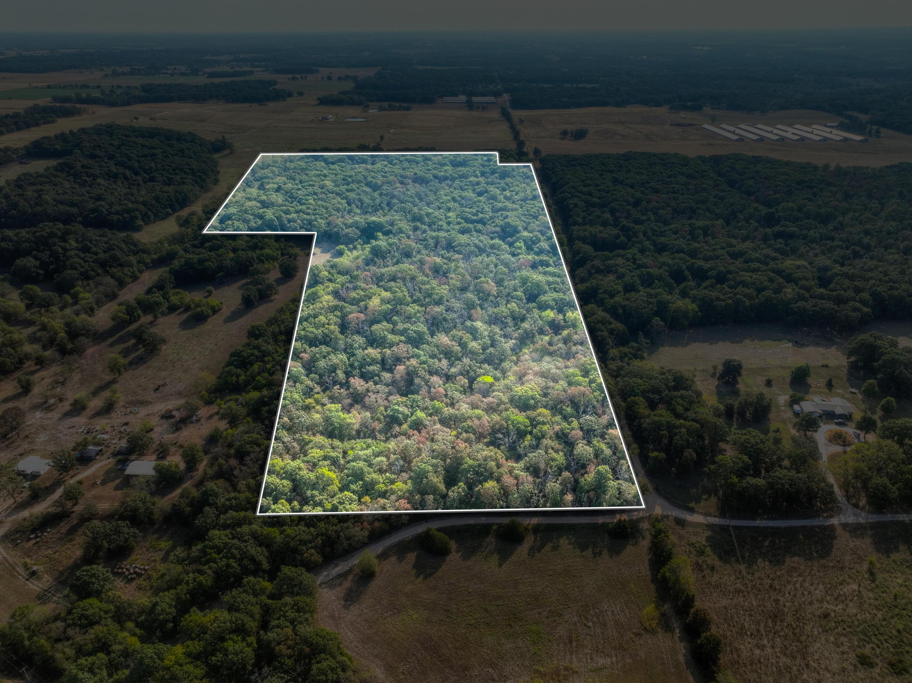 Land for sale – Tbd Foliage Road Pierce City, MO