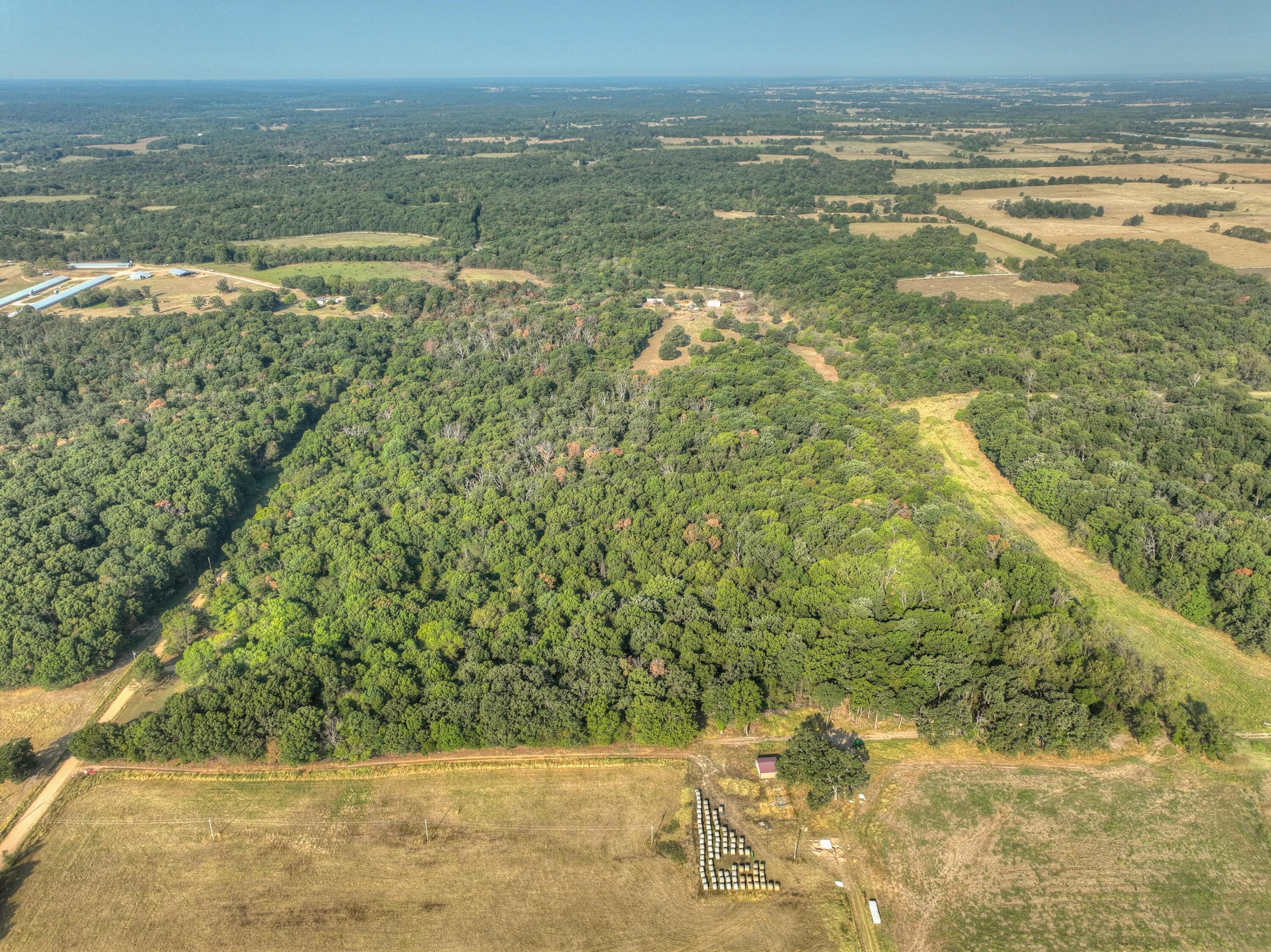 Photo 7 - Land for sale – Tbd  Foliage Road  Pierce City, MO