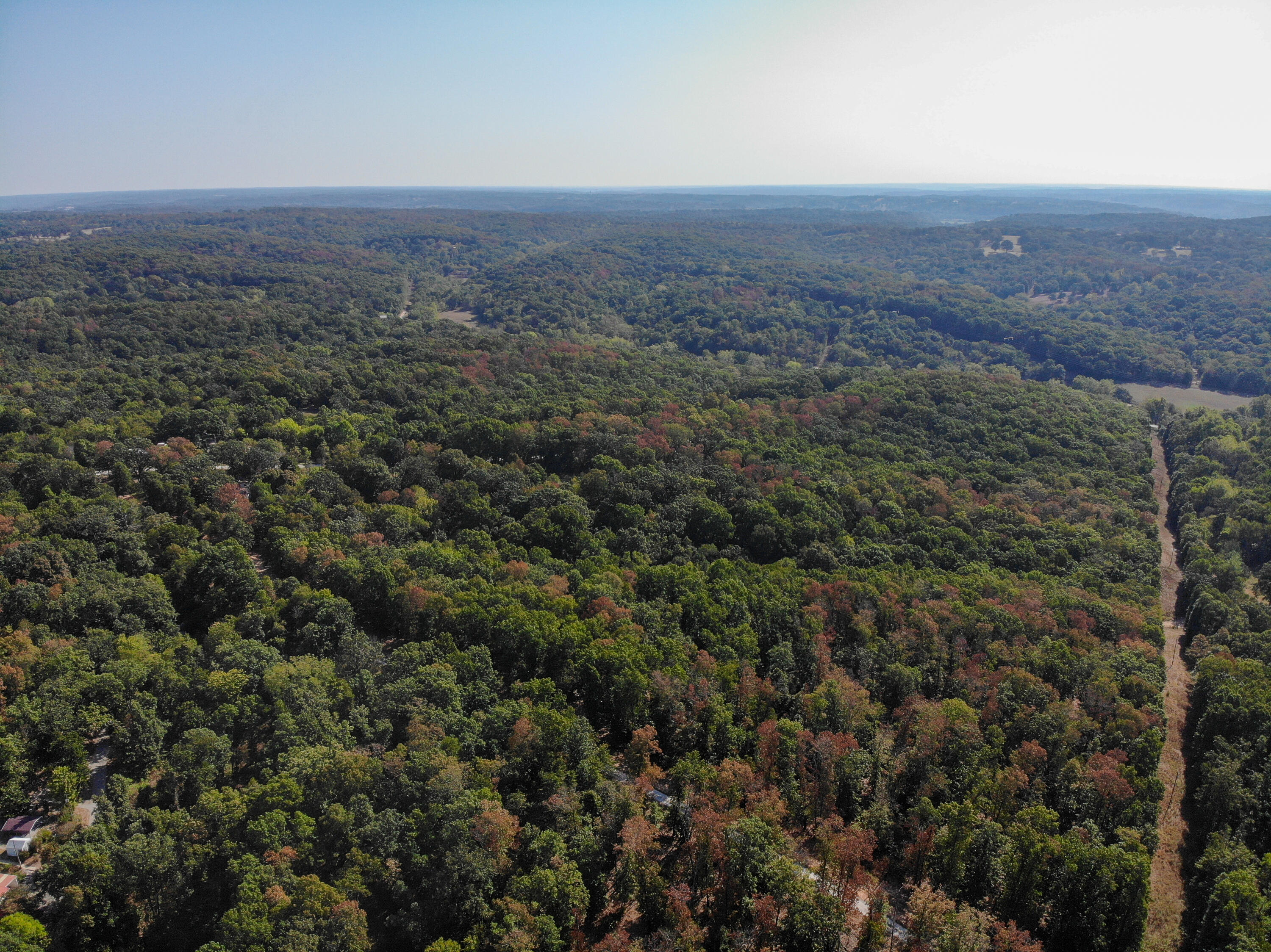 Photo 9 - Land for sale – 516  Raven Road  Noel, MO