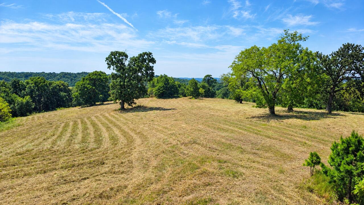 Photo 10 - Land for sale – 516  Raven Road  Noel, MO