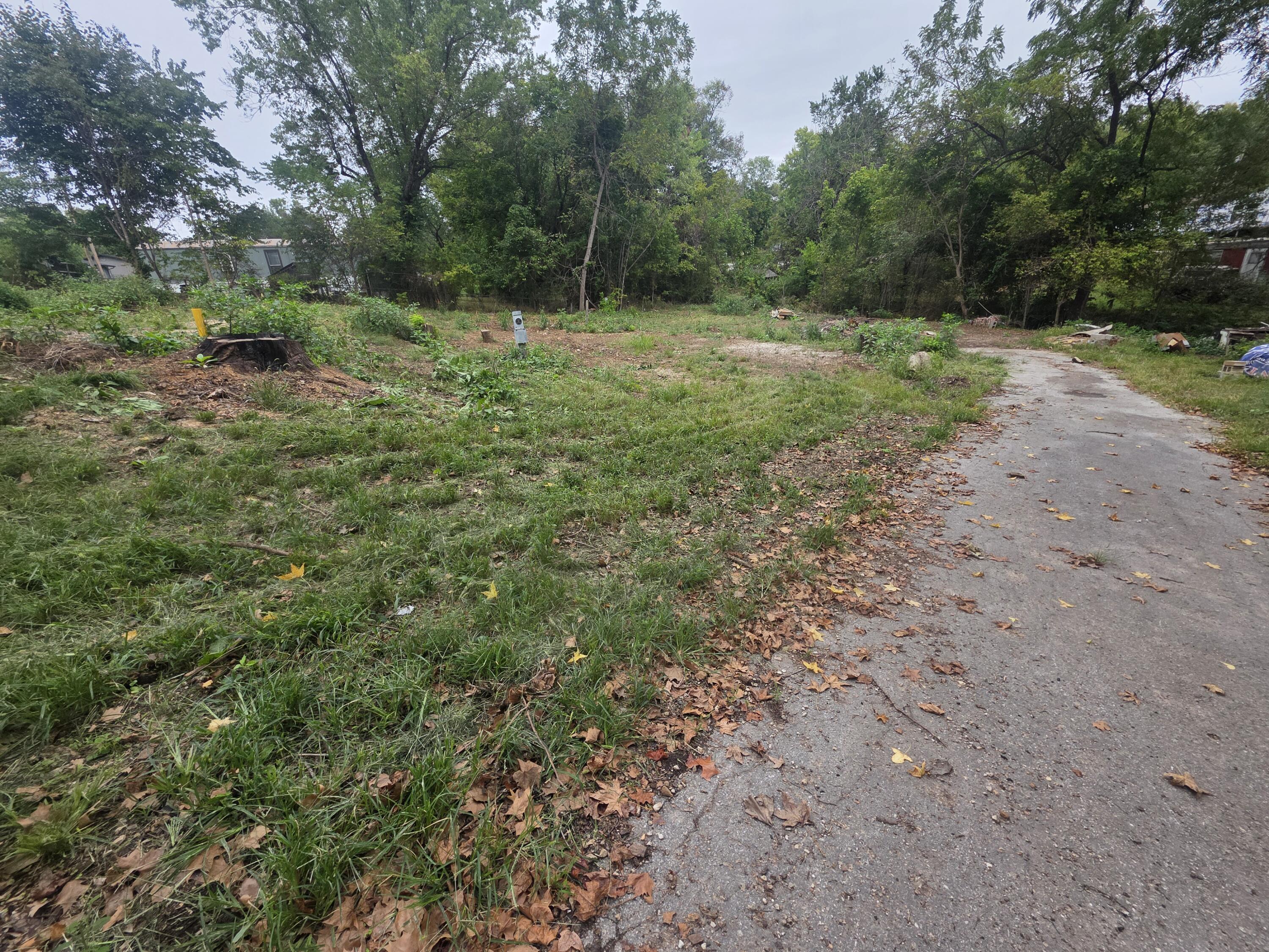 Photo 3 - Land for sale – 1631 W Valley Circle  Ozark, MO