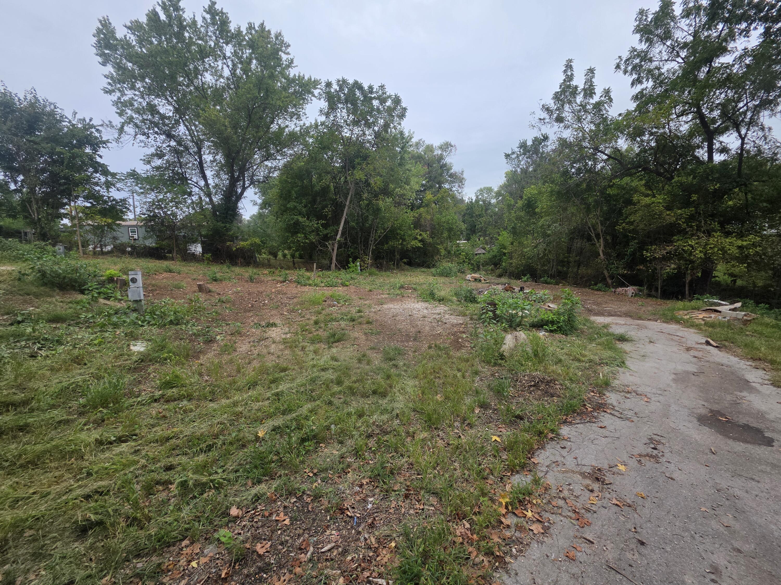 Photo 4 - Land for sale – 1631 W Valley Circle  Ozark, MO