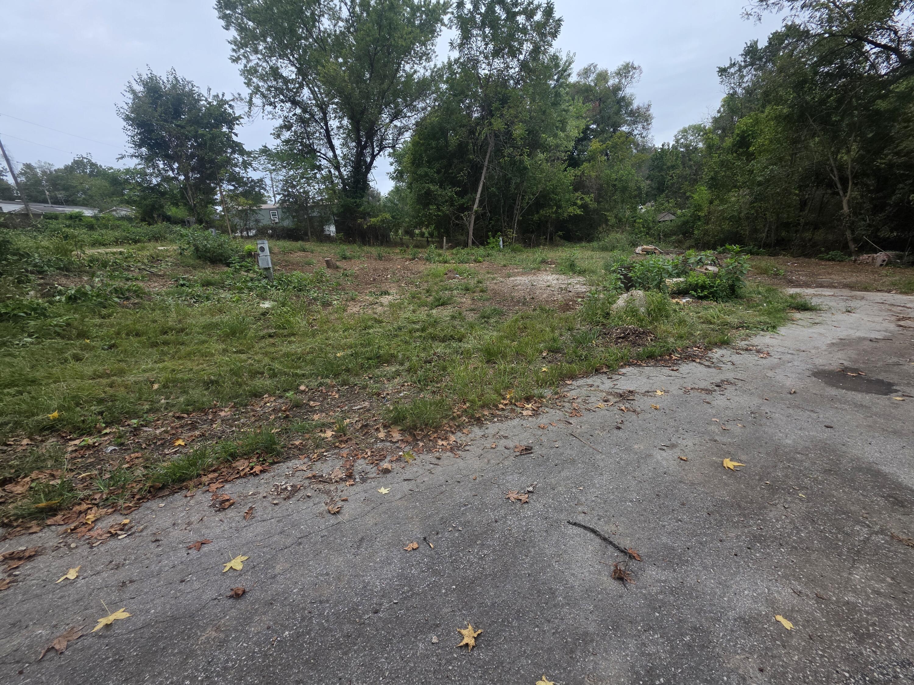 Photo 2 - Land for sale – 1631 W Valley Circle  Ozark, MO