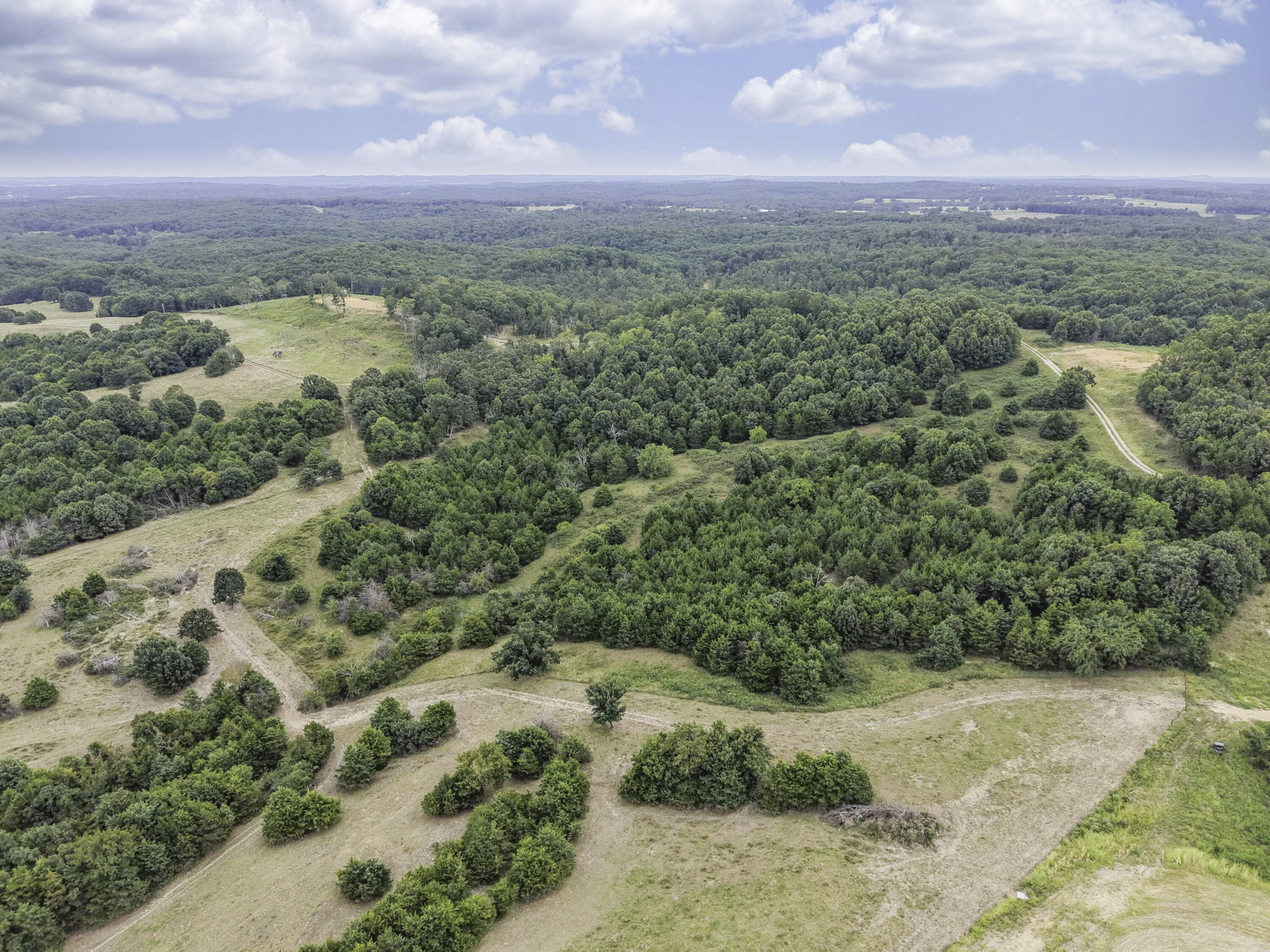 Photo 14 - Land for sale – 000  Gravel Point Road  Mountain Grove, MO