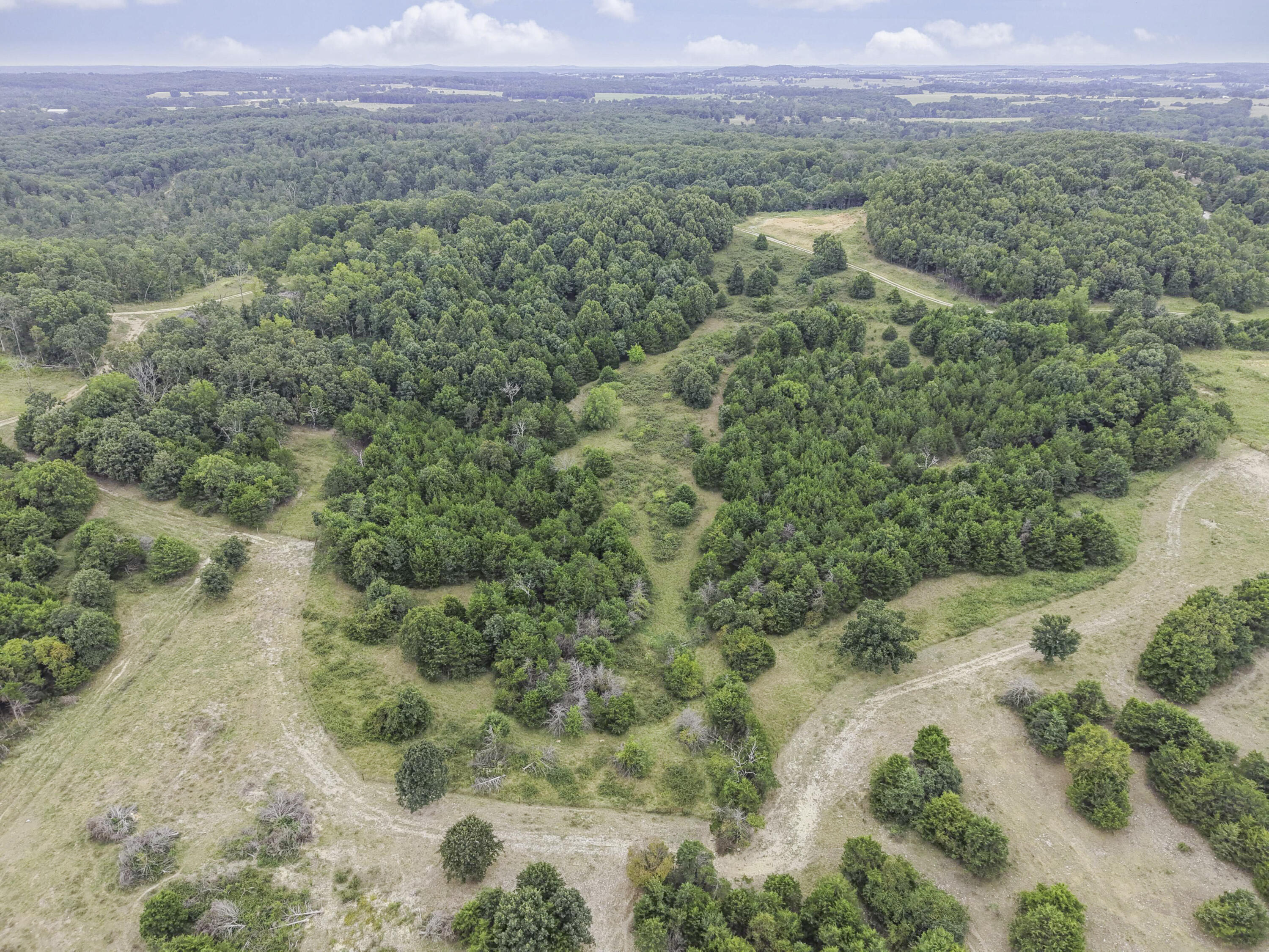 Photo 13 - Land for sale – 000  Gravel Point Road  Mountain Grove, MO