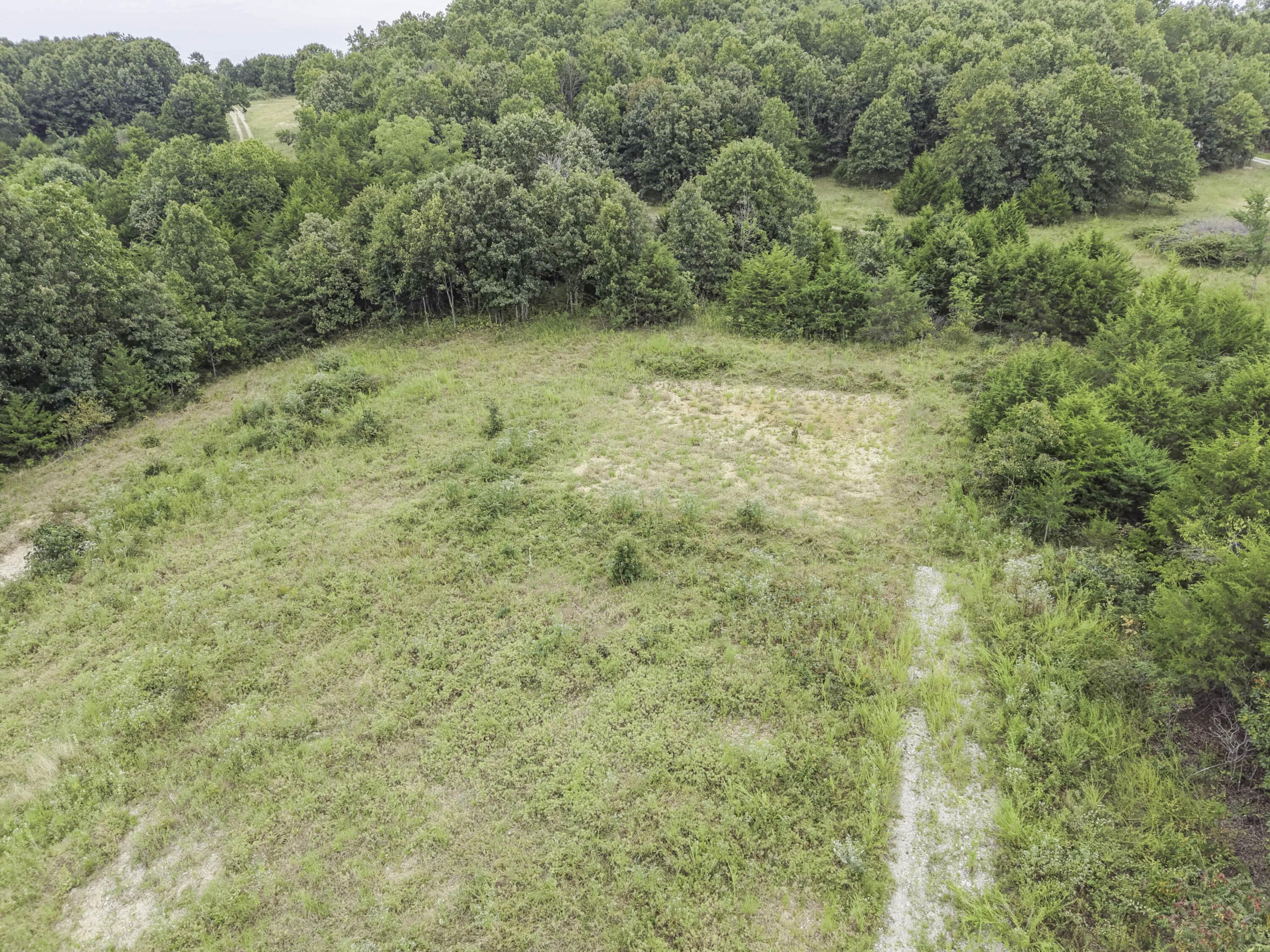 Photo 9 - Land for sale – 000  Gravel Point Road  Mountain Grove, MO