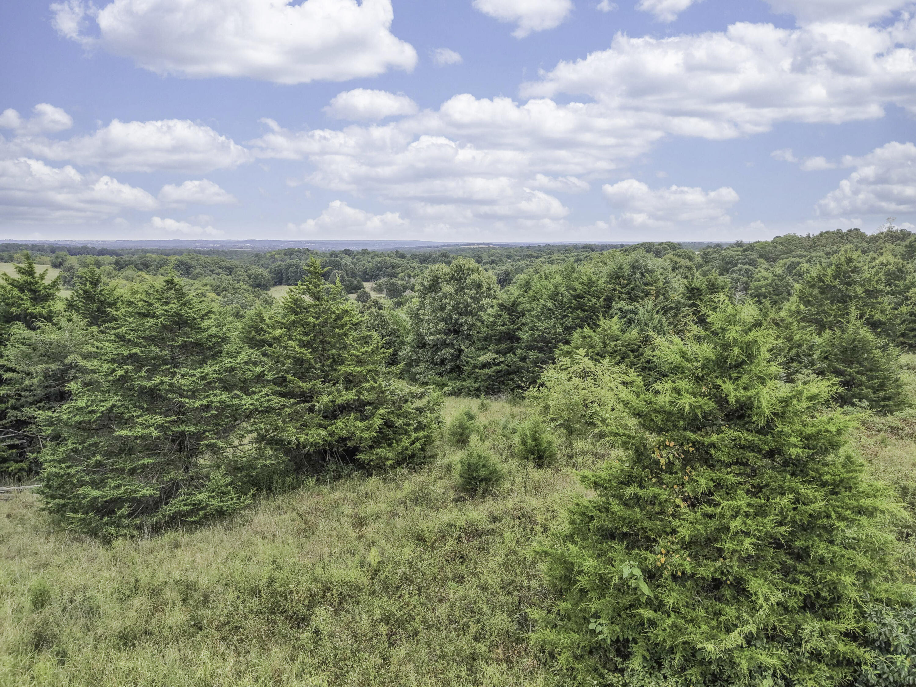 Photo 12 - Land for sale – 000  Gravel Point Road  Mountain Grove, MO