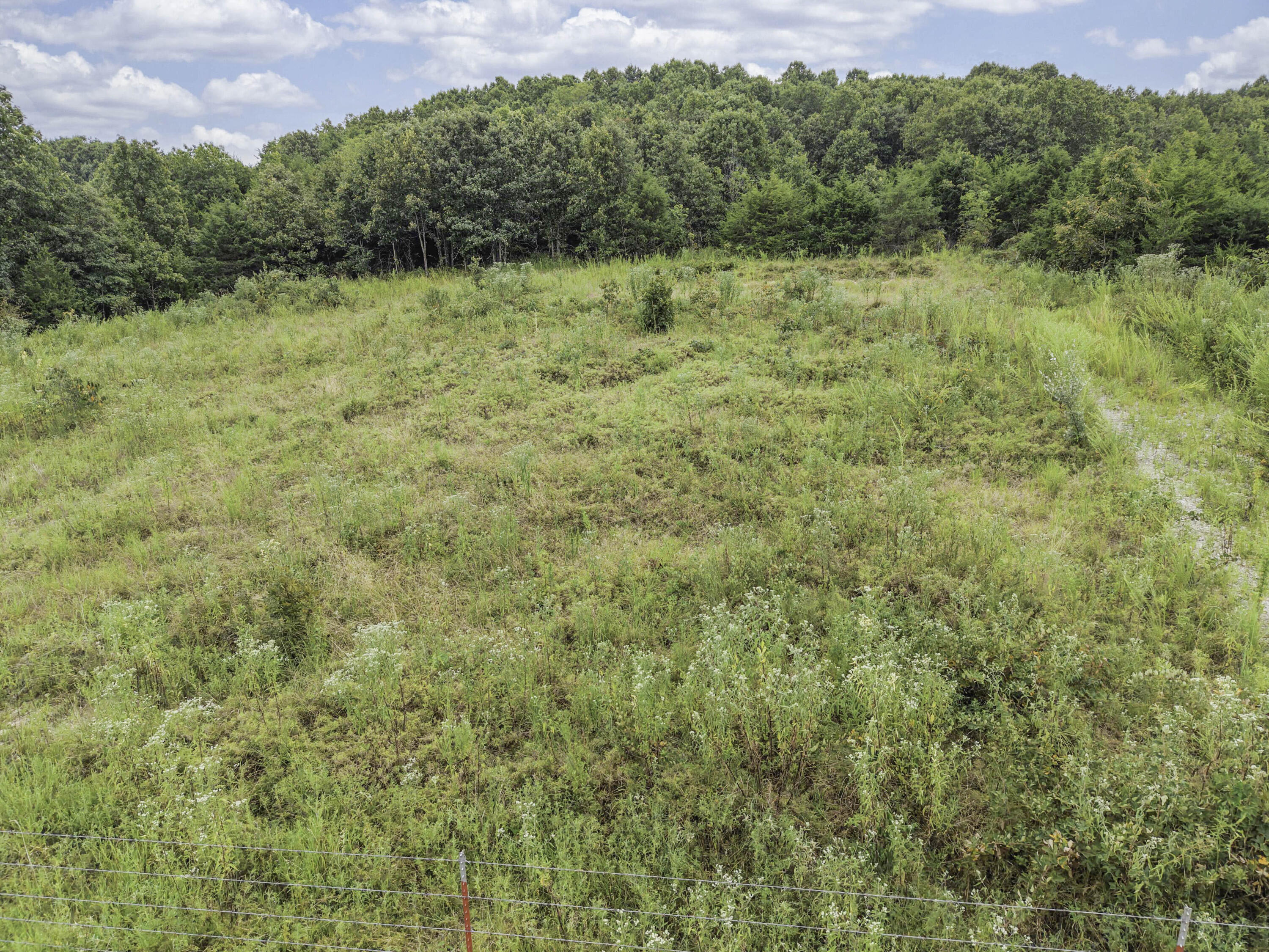 Photo 10 - Land for sale – 000  Gravel Point Road  Mountain Grove, MO