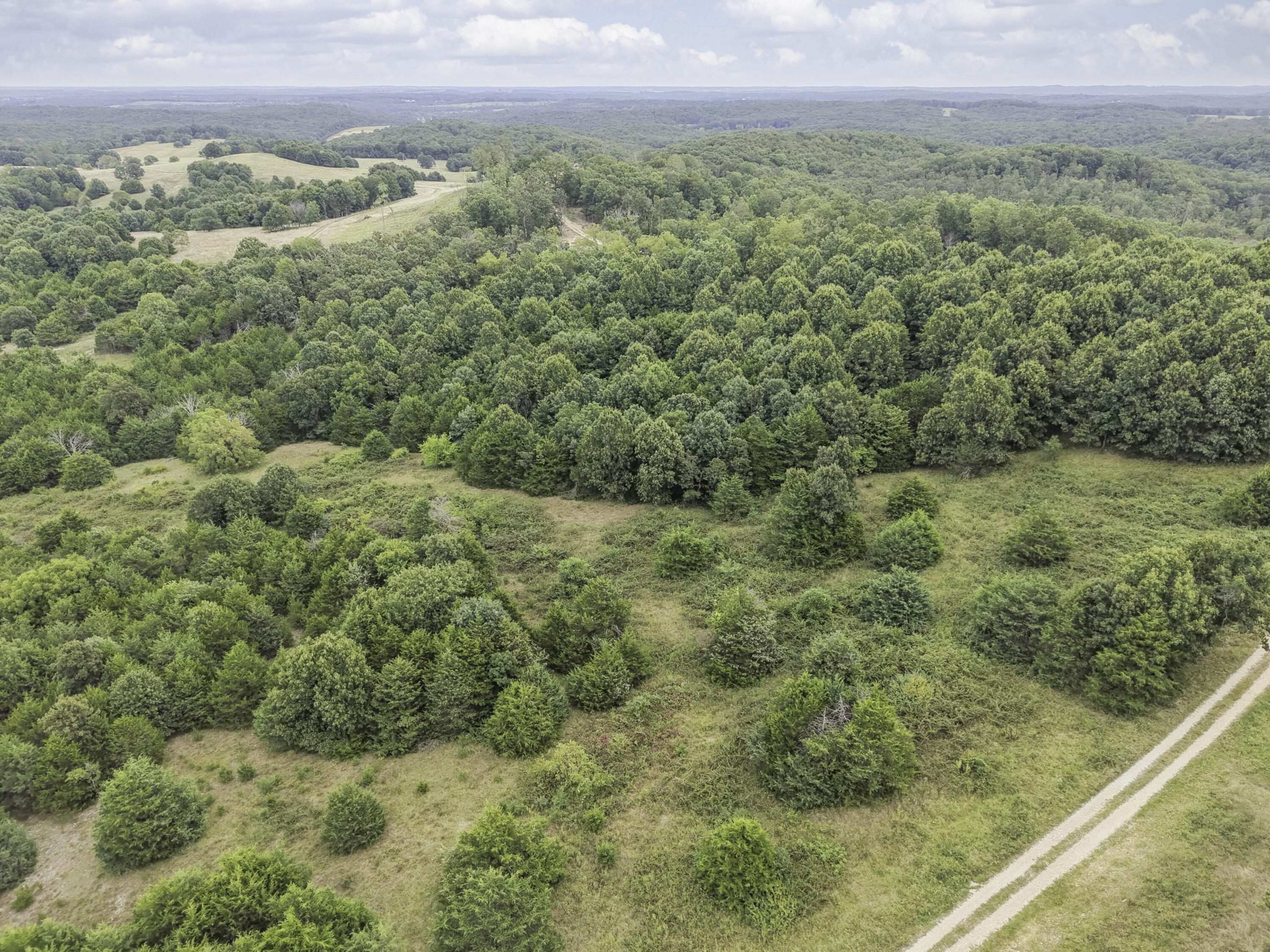 Photo 11 - Land for sale – 000  Gravel Point Road  Mountain Grove, MO