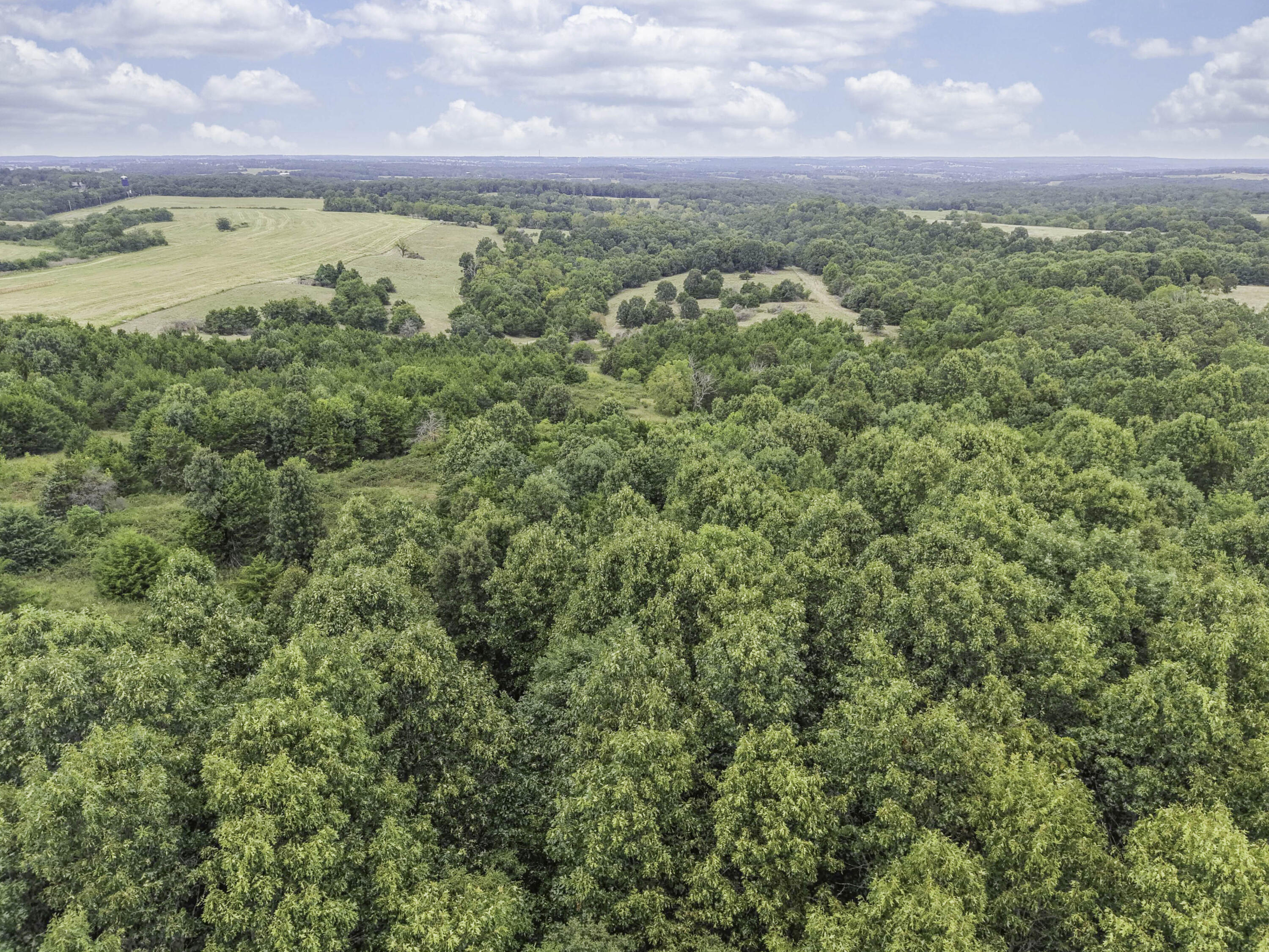 Photo 4 - Land for sale – 000  Gravel Point Road  Mountain Grove, MO