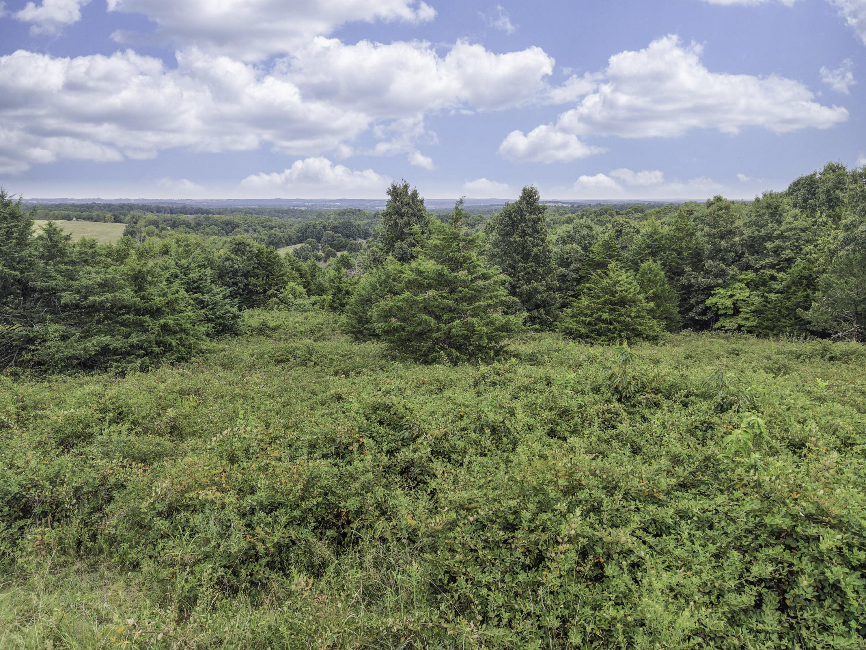 Photo 6 - Land for sale – 000  Gravel Point Road  Mountain Grove, MO