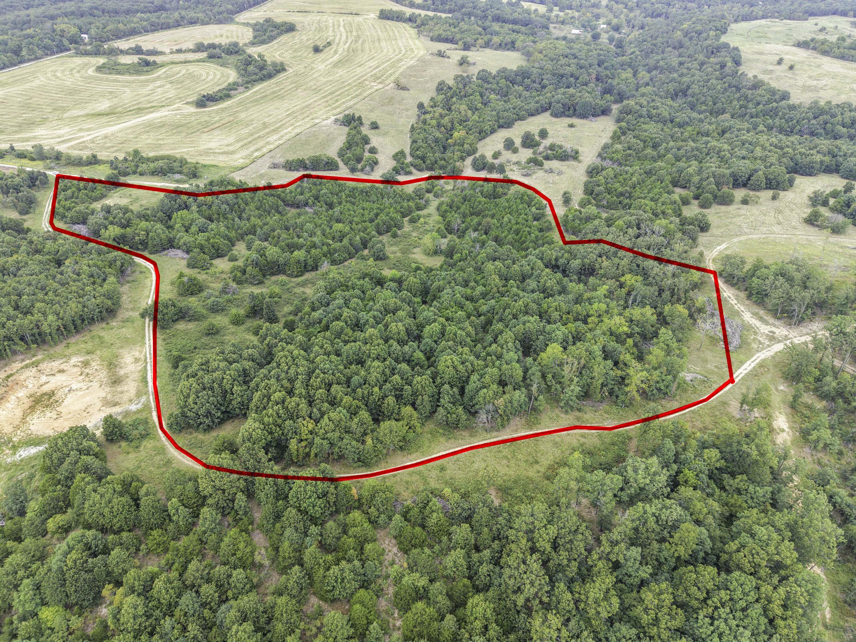 Photo 2 - Land for sale – 000  Gravel Point Road  Mountain Grove, MO