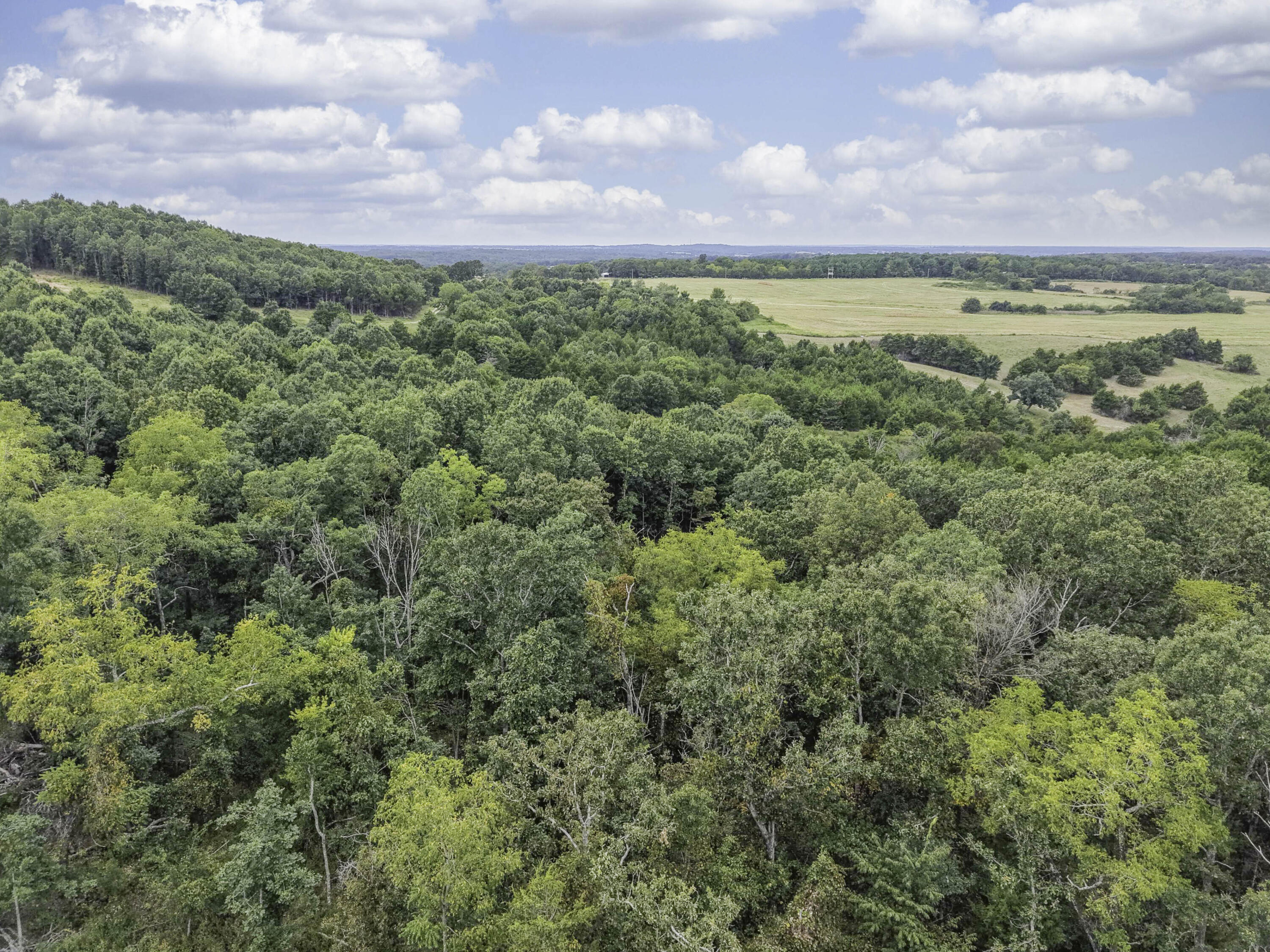 Photo 5 - Land for sale – 000  Gravel Point Road  Mountain Grove, MO
