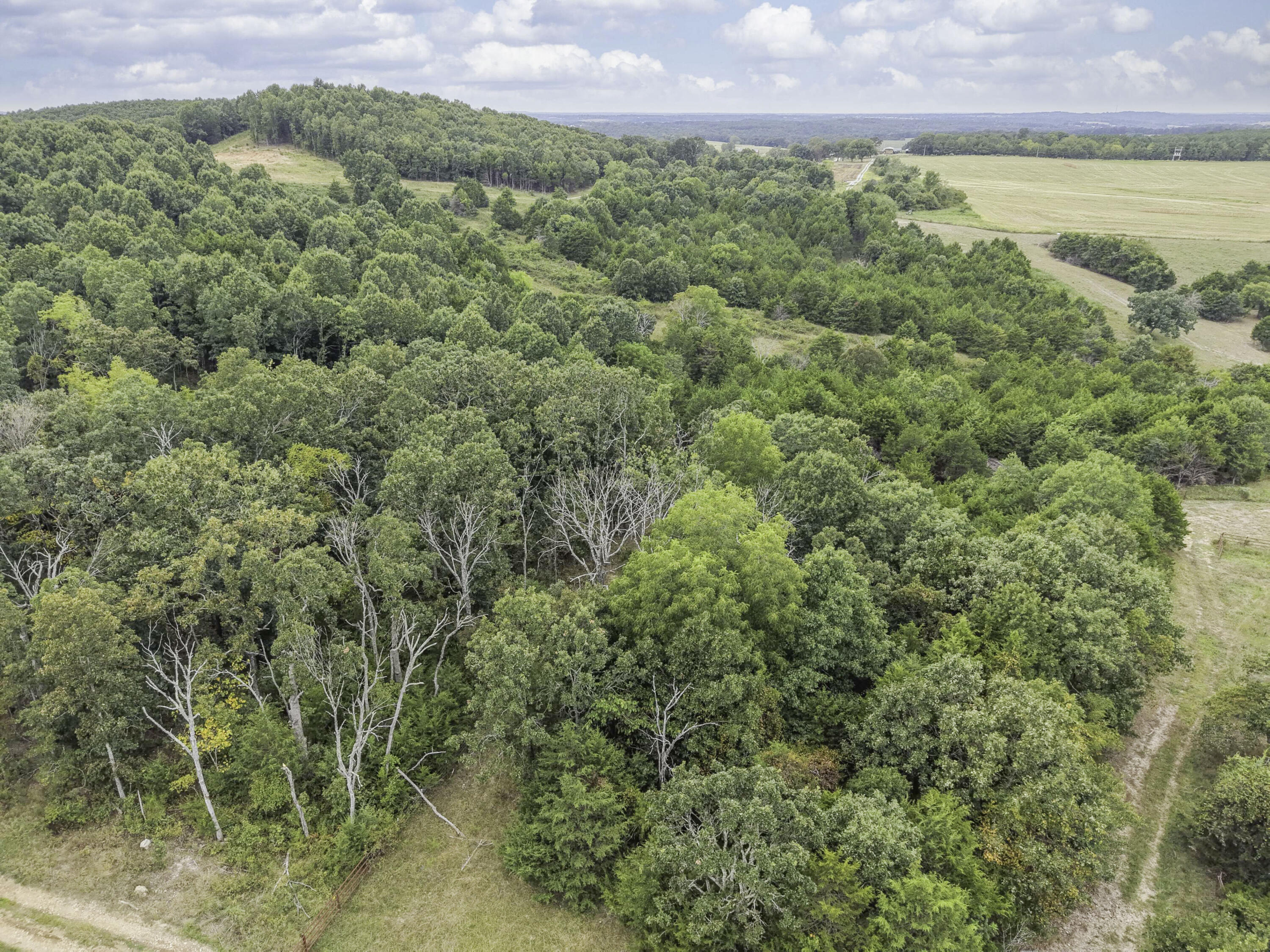 Photo 8 - Land for sale – 000  Gravel Point Road  Mountain Grove, MO