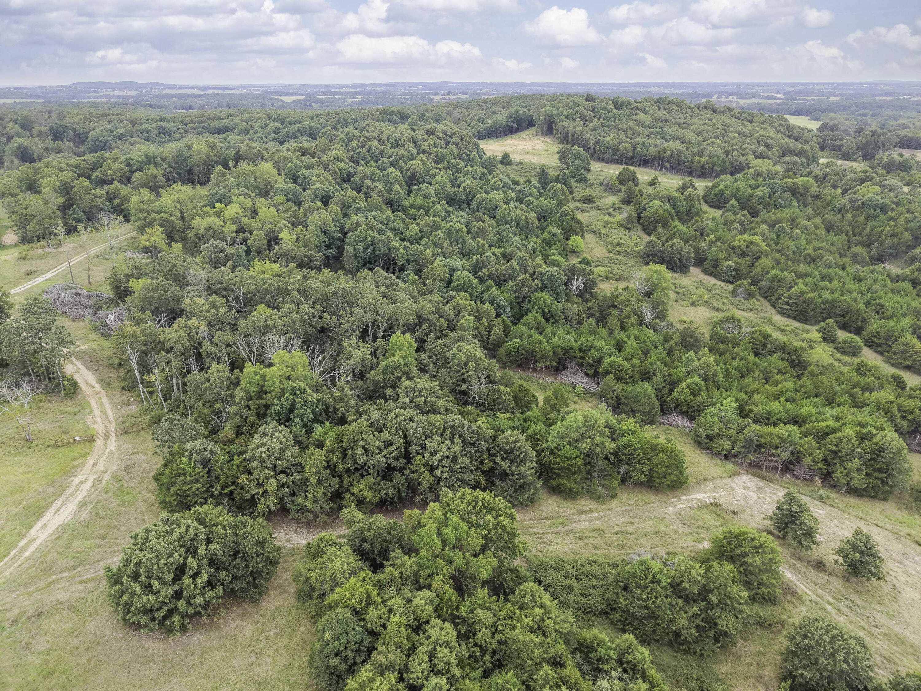 Photo 7 - Land for sale – 000  Gravel Point Road  Mountain Grove, MO